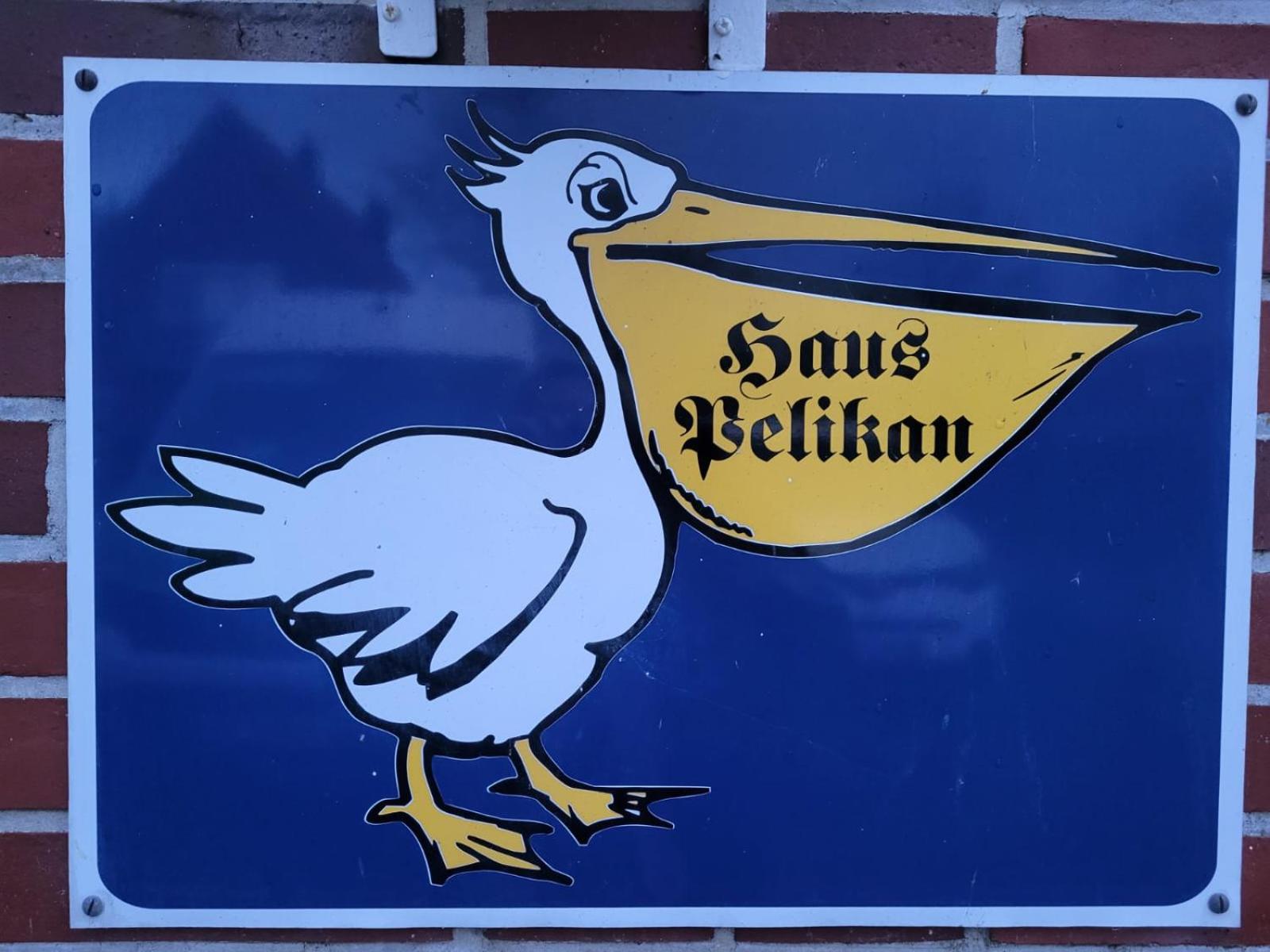 Wohnung Pelikan OG