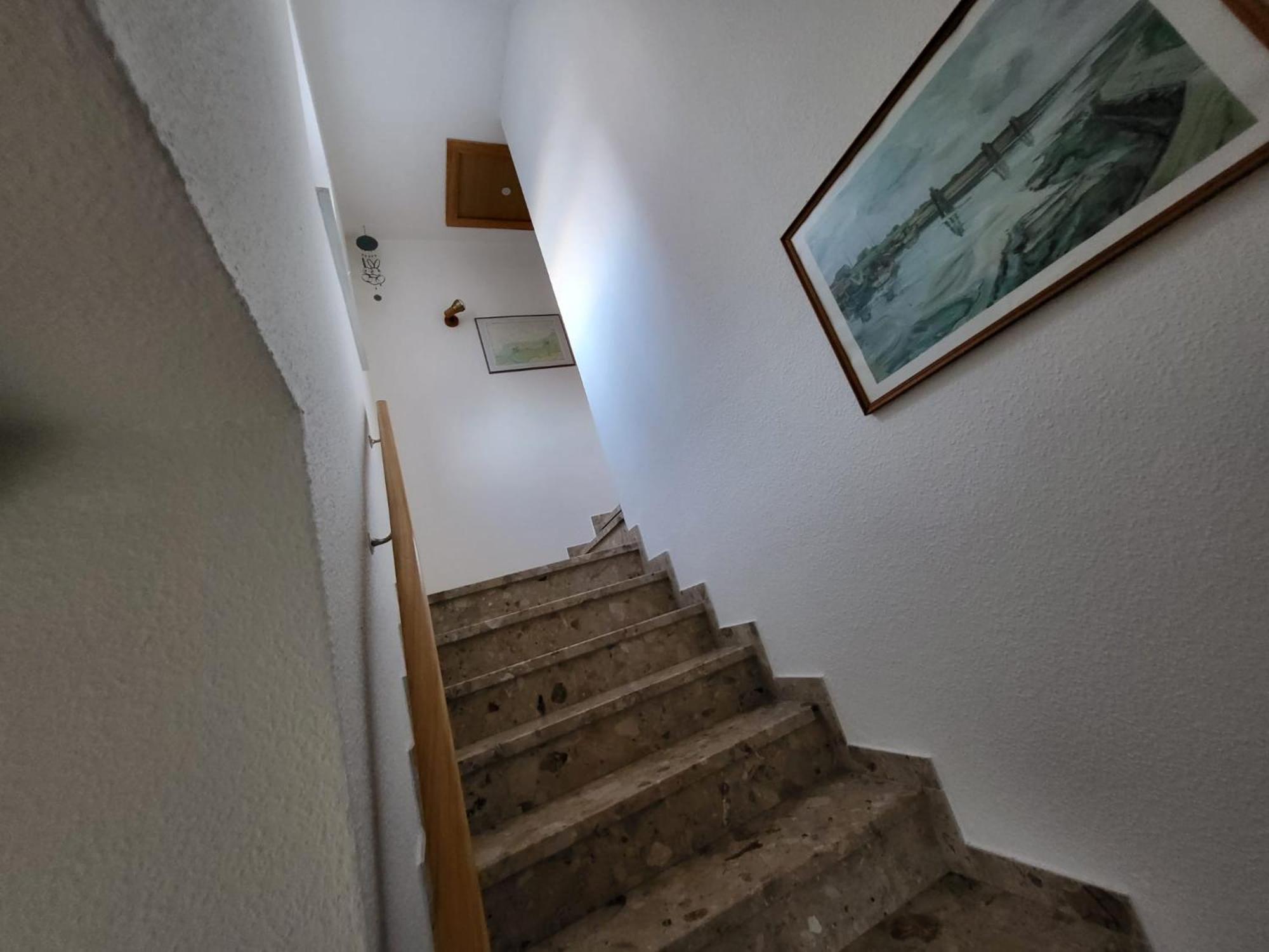 Wohnung Pelikan OG
