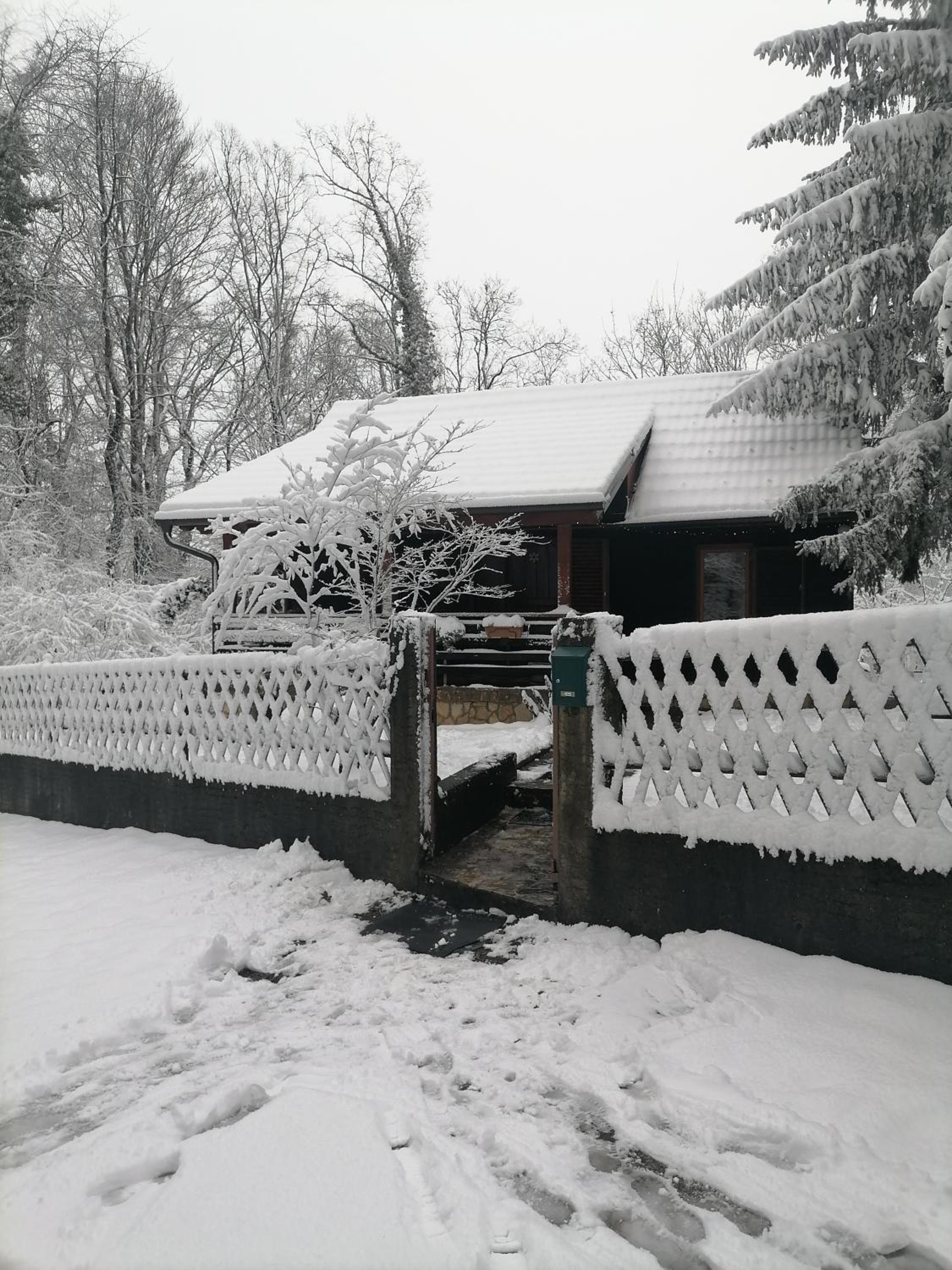 Hotel Cabin In The Woods Vukelic - Image 1