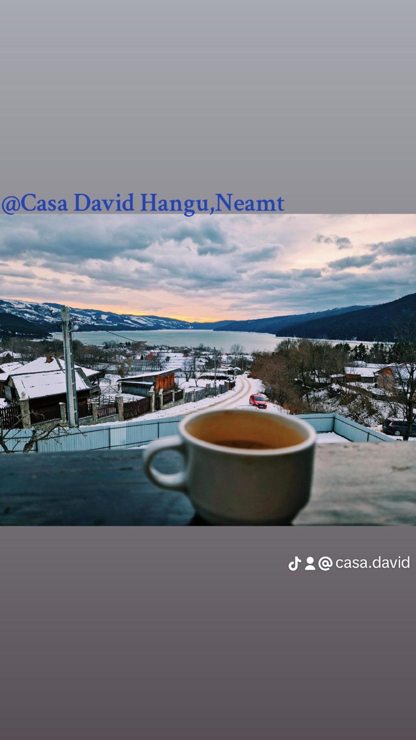 Casa David