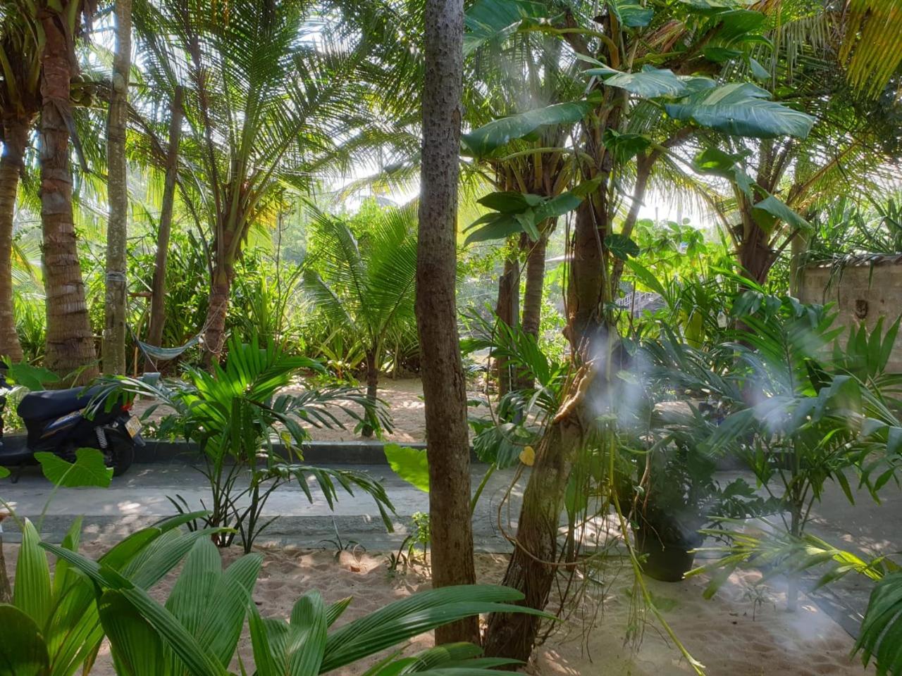 Gems Garden Guest House view 5