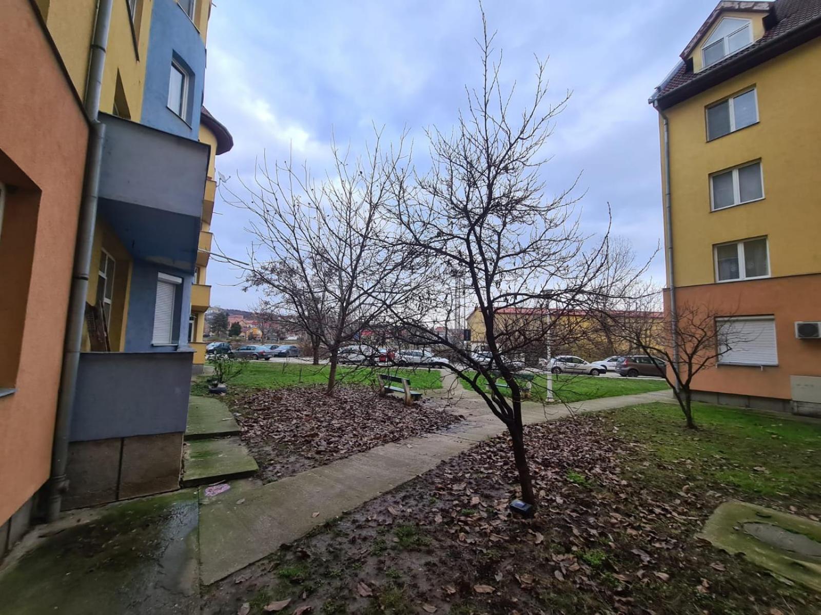 Photo 13