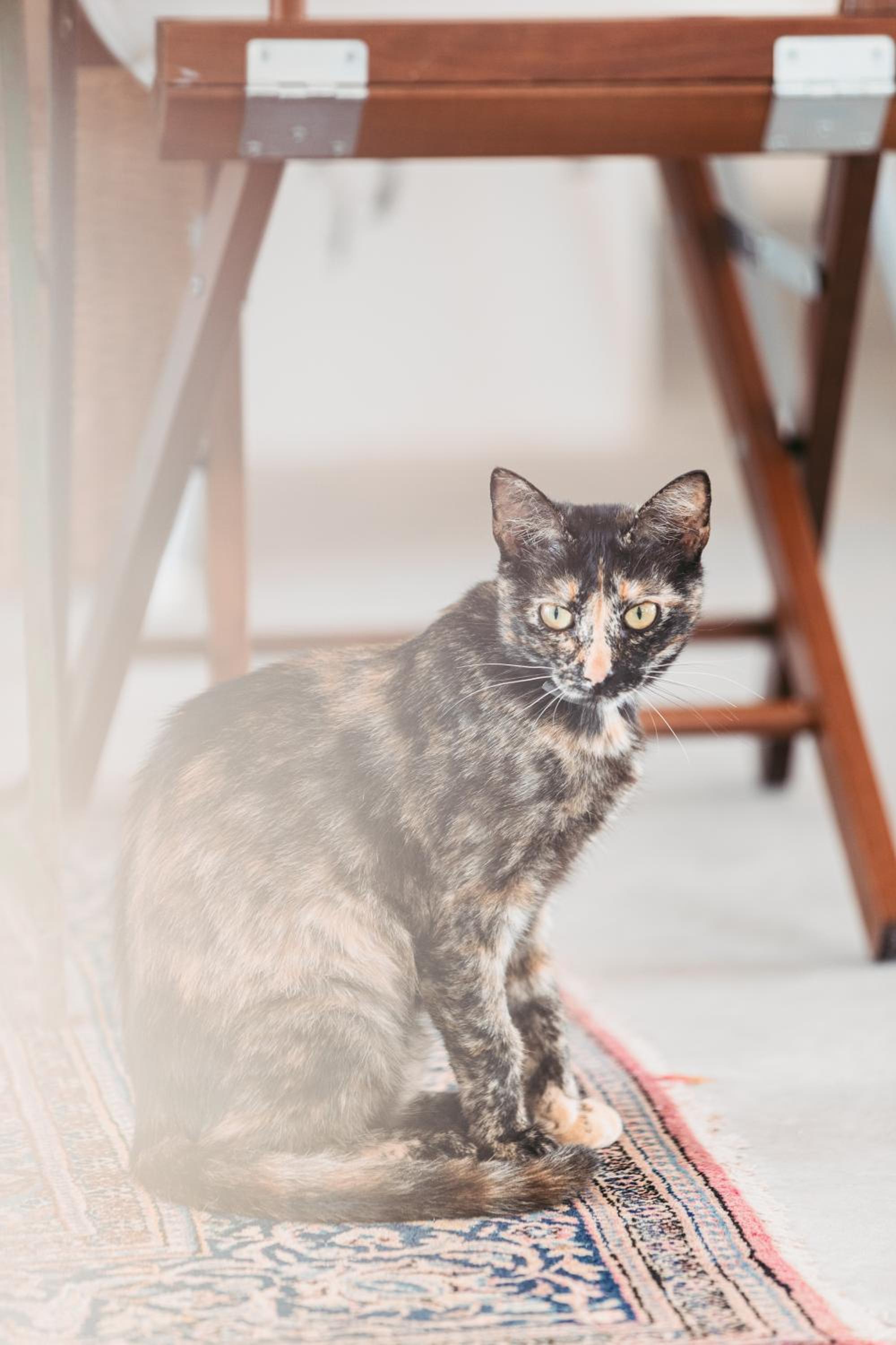 Photo 89