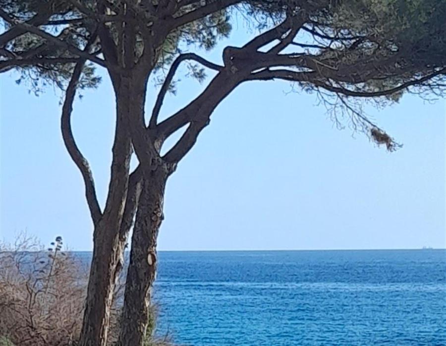 Appartamenti Seccheto