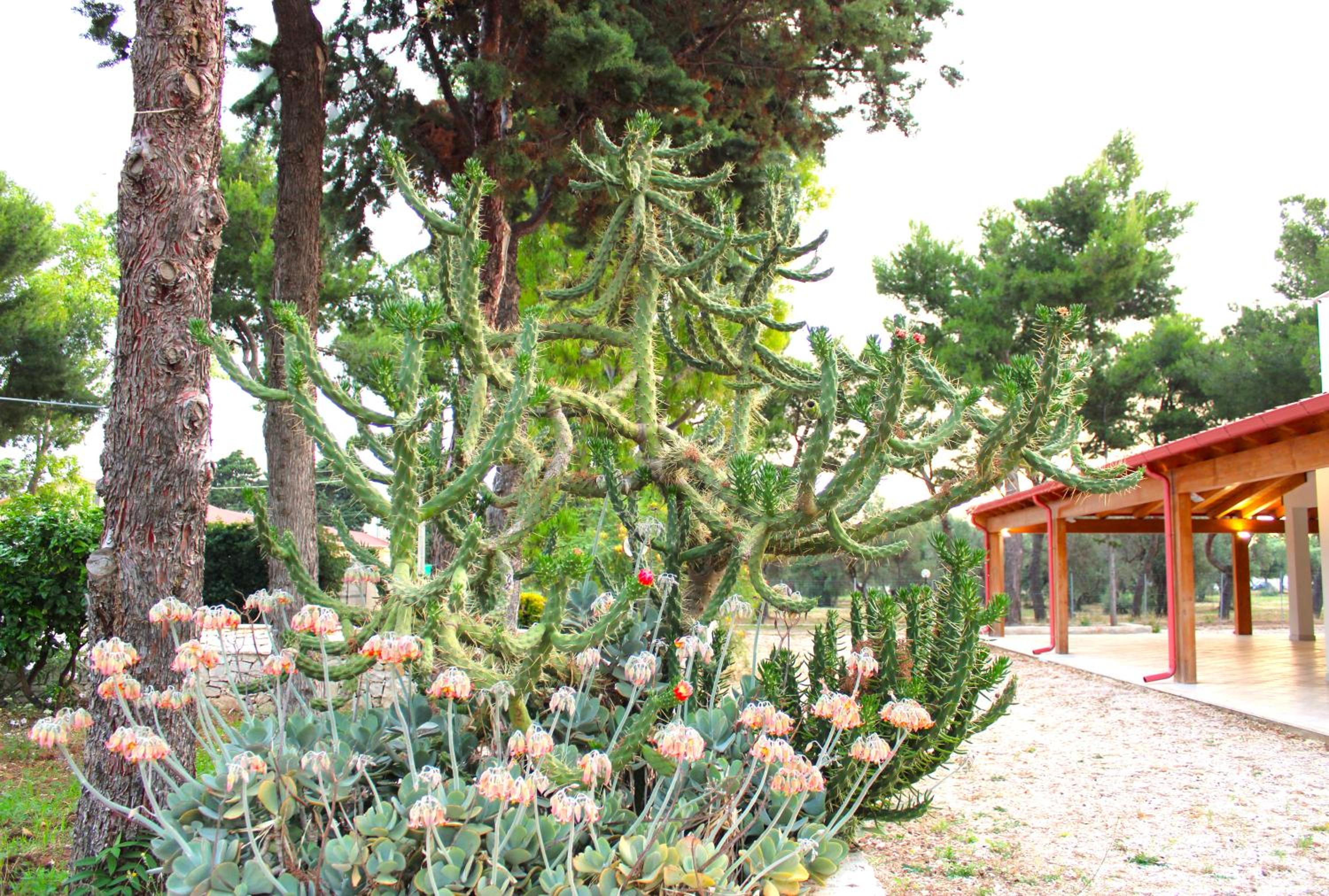 Villa Costanza