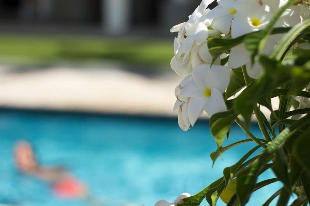 Goudhaen Luxury Private apartments Jan Thiel Beach