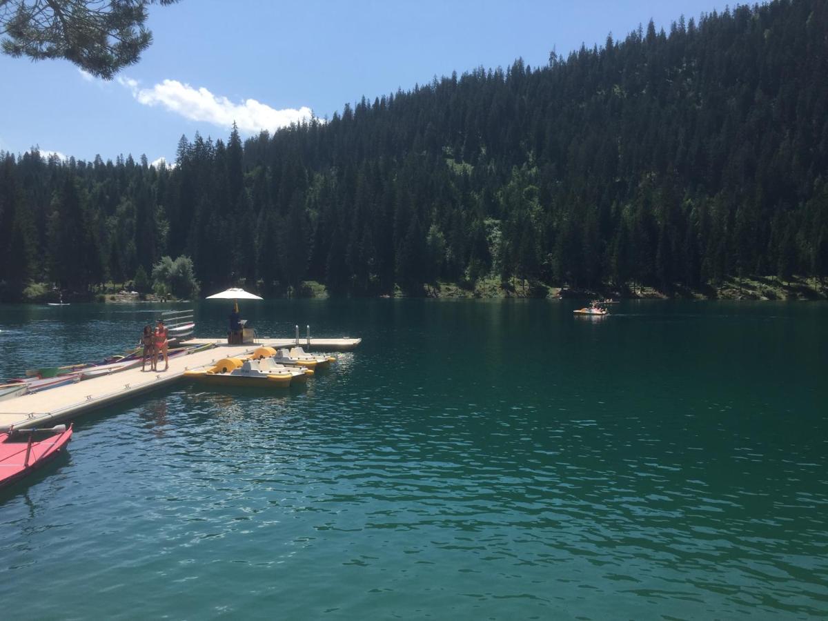 Pineview Waldhaus