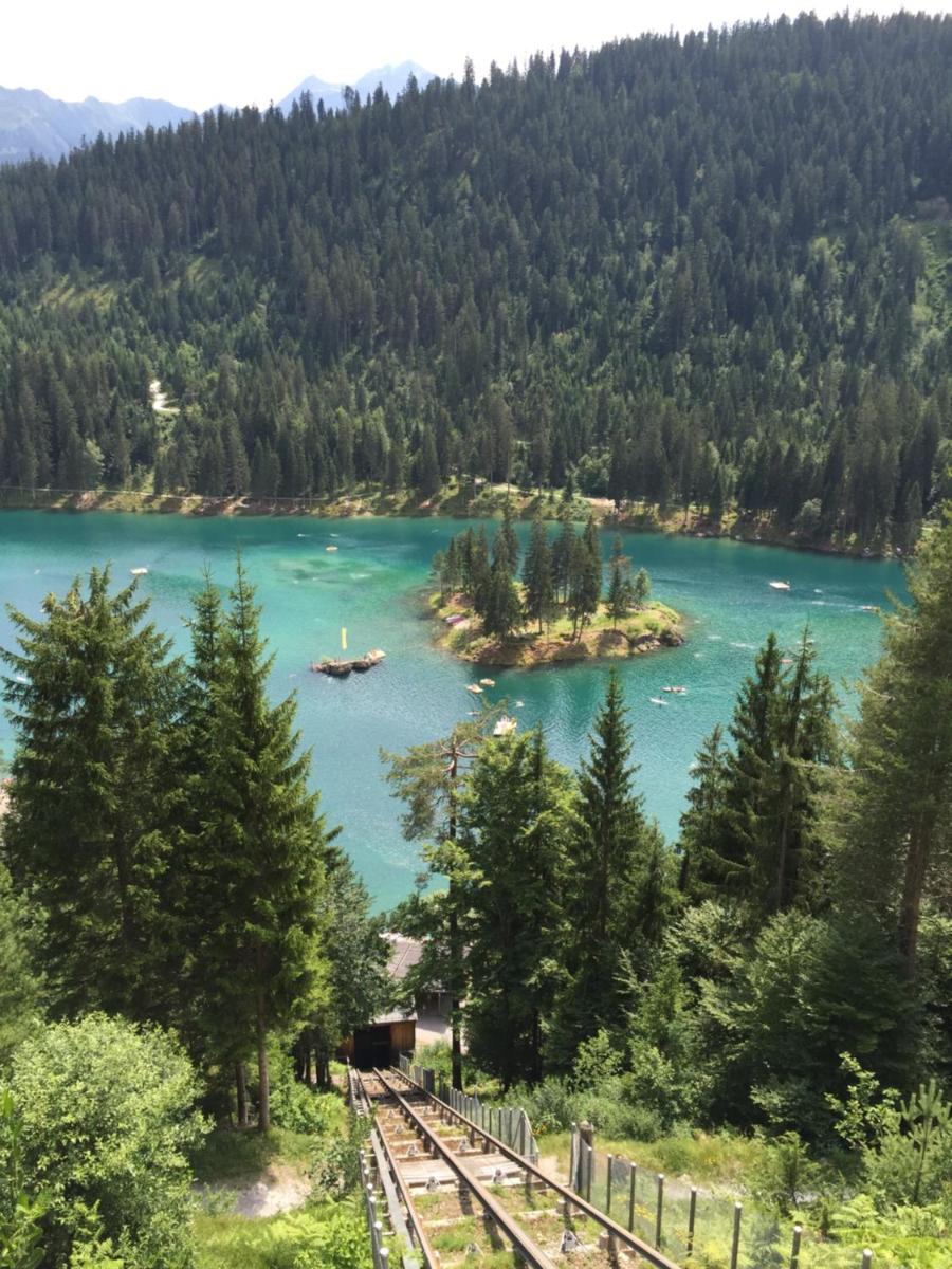 Pineview Waldhaus