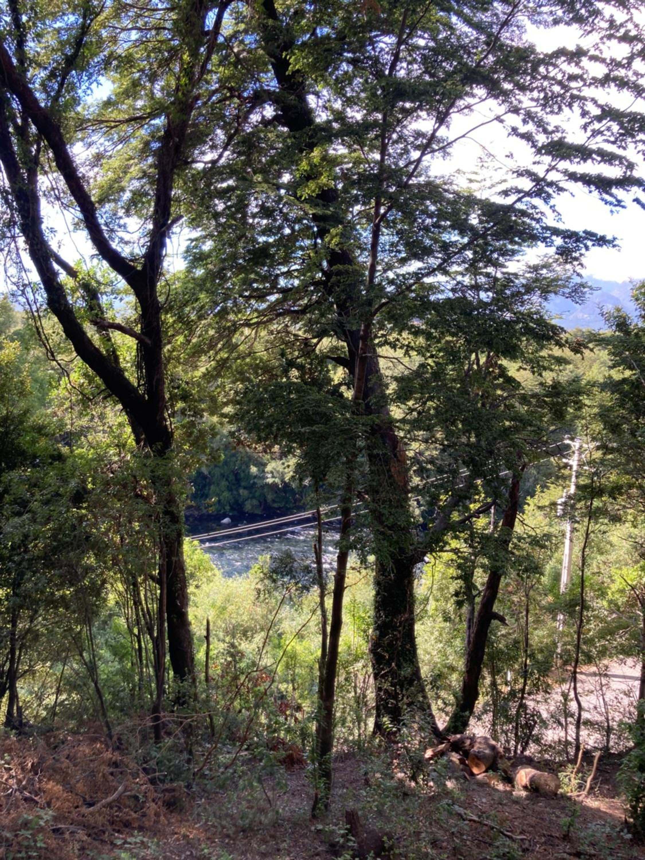 Cabaña Alpina