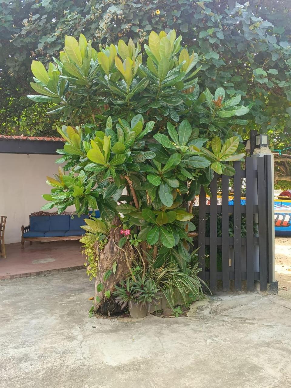 Photo 26