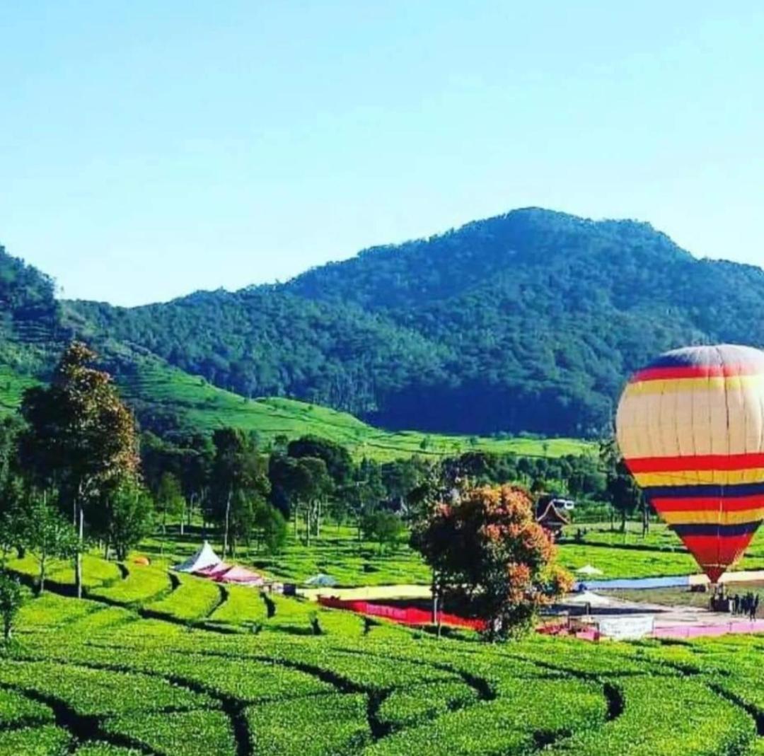 Penginapan sweety homestays & Villas view 5