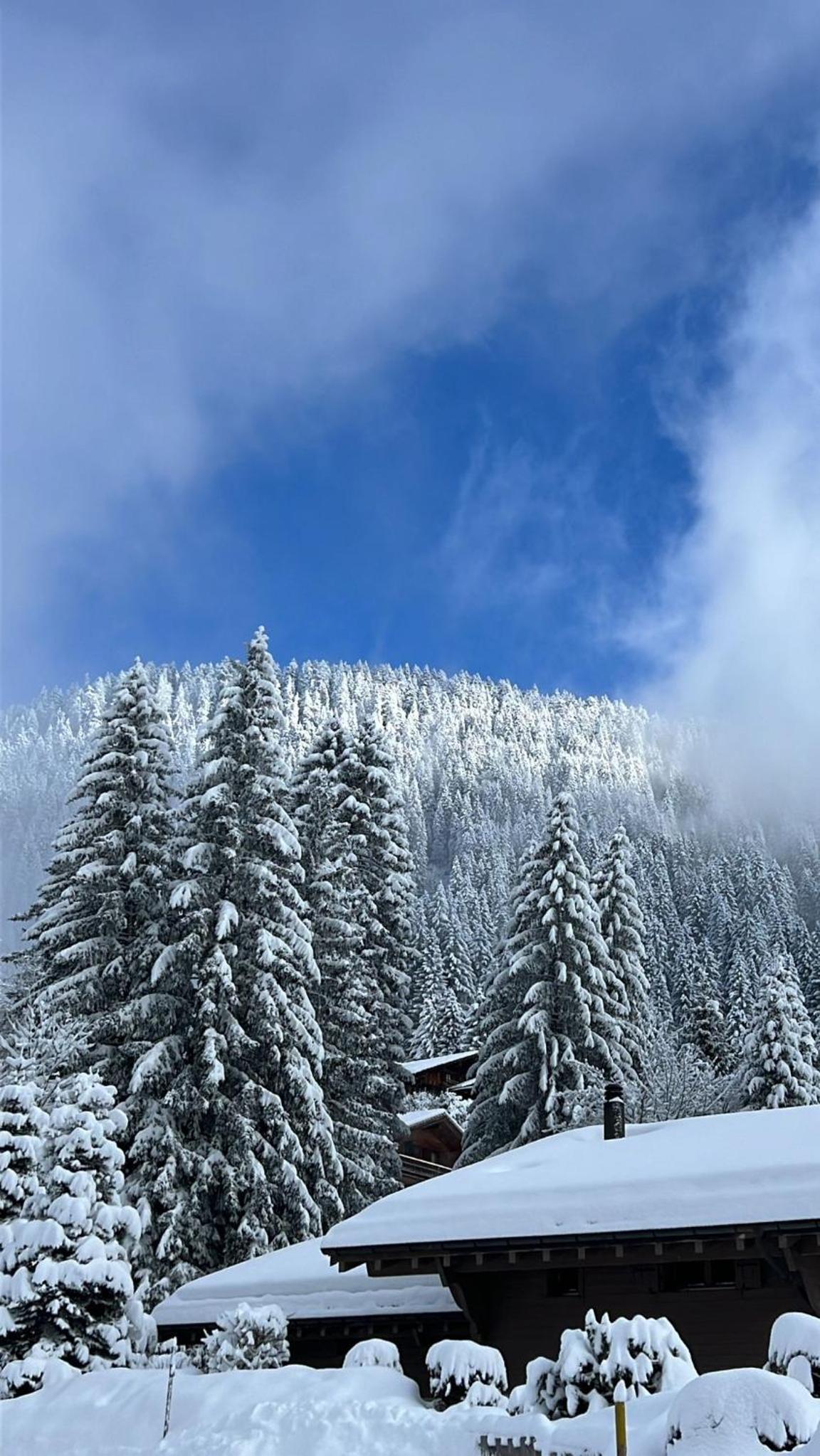 Chalet con Vista