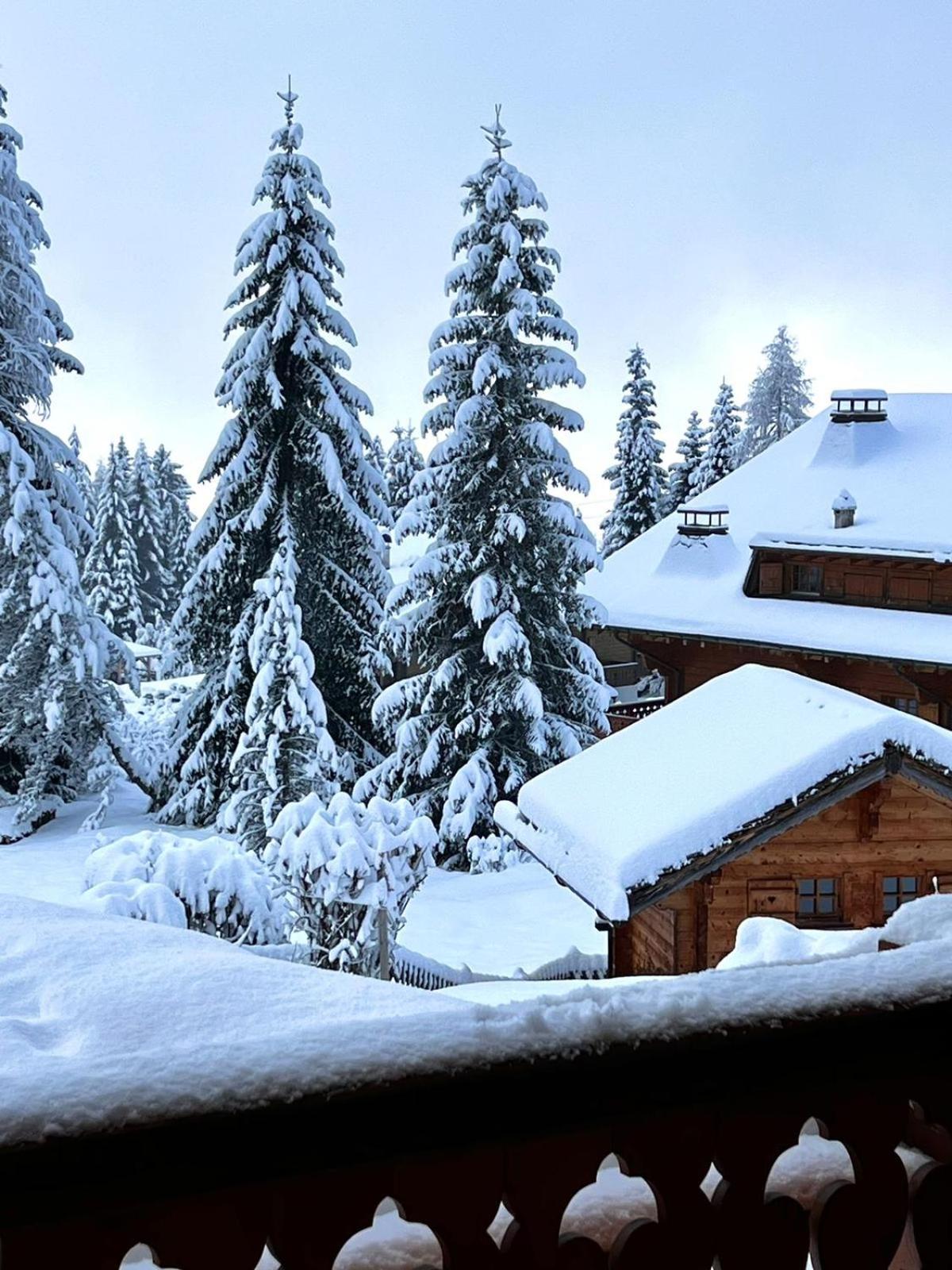 Chalet con Vista