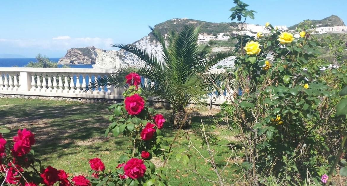 Oasi del mare photo 2
