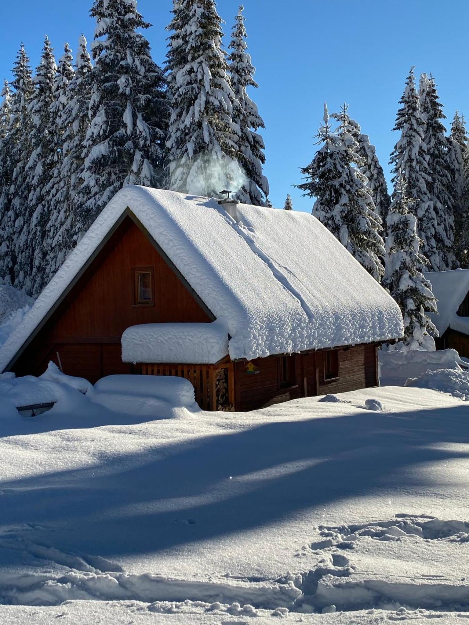 Cosy Chalet on Pokljuka - Brunarica Tinkara view 4