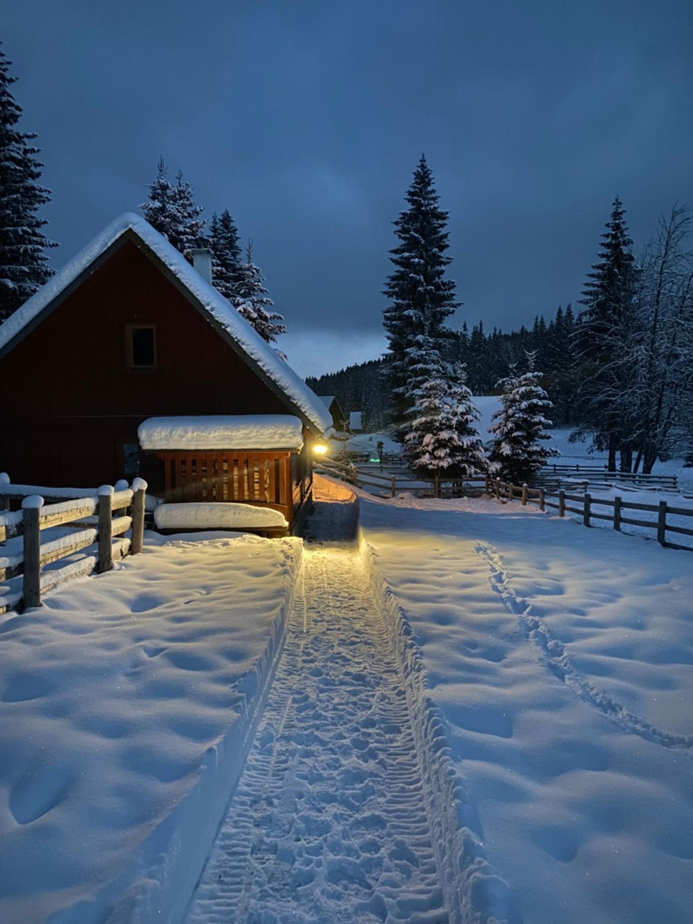 Cosy Chalet on Pokljuka - Brunarica Tinkara view 3