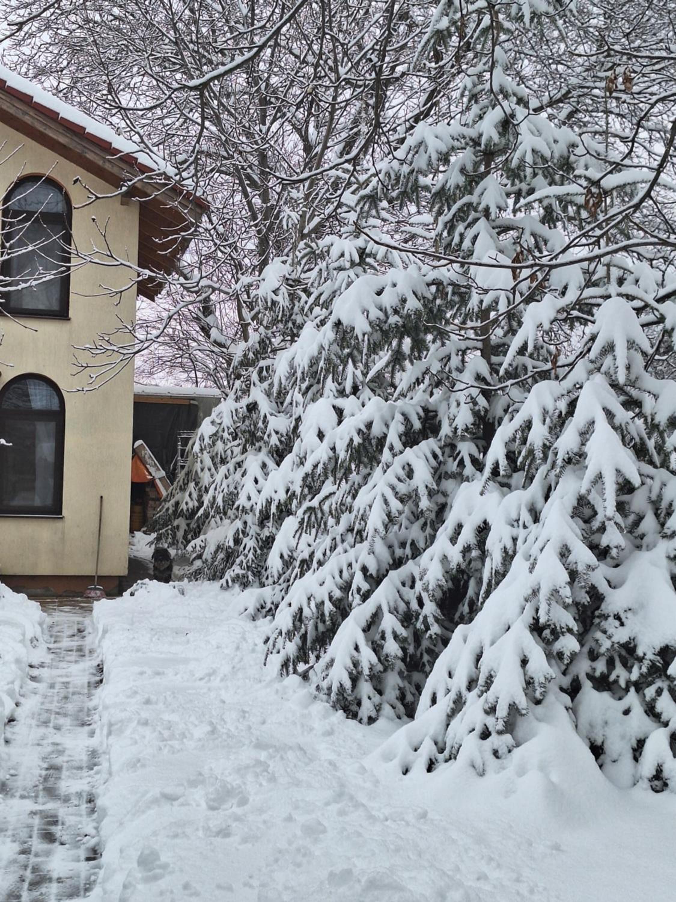 TINY CABIN