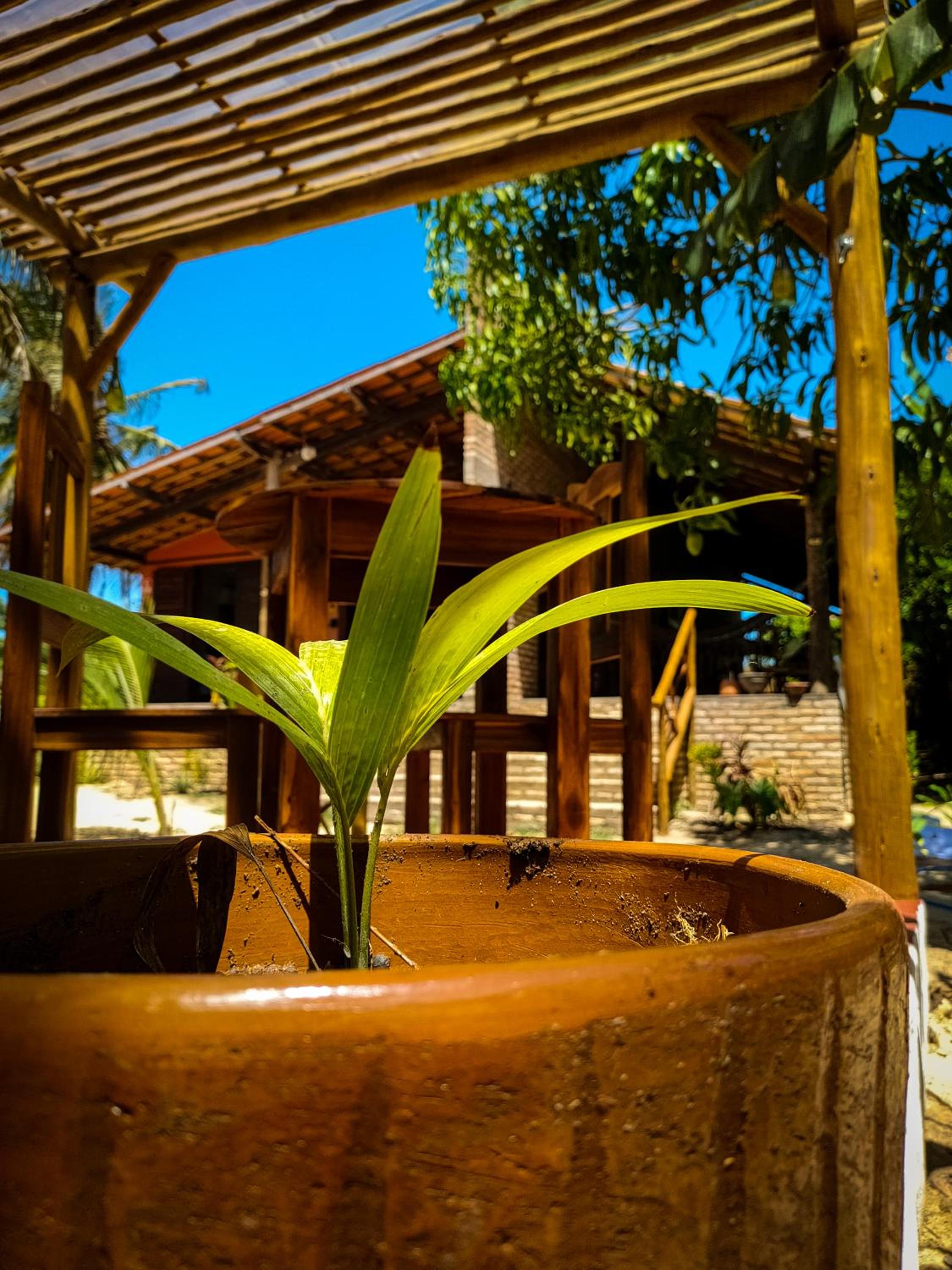 Icarai Kite House