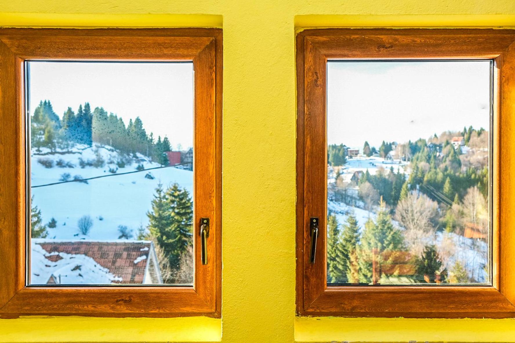 Vila Čajetinski biser-Apartment Classic view 5