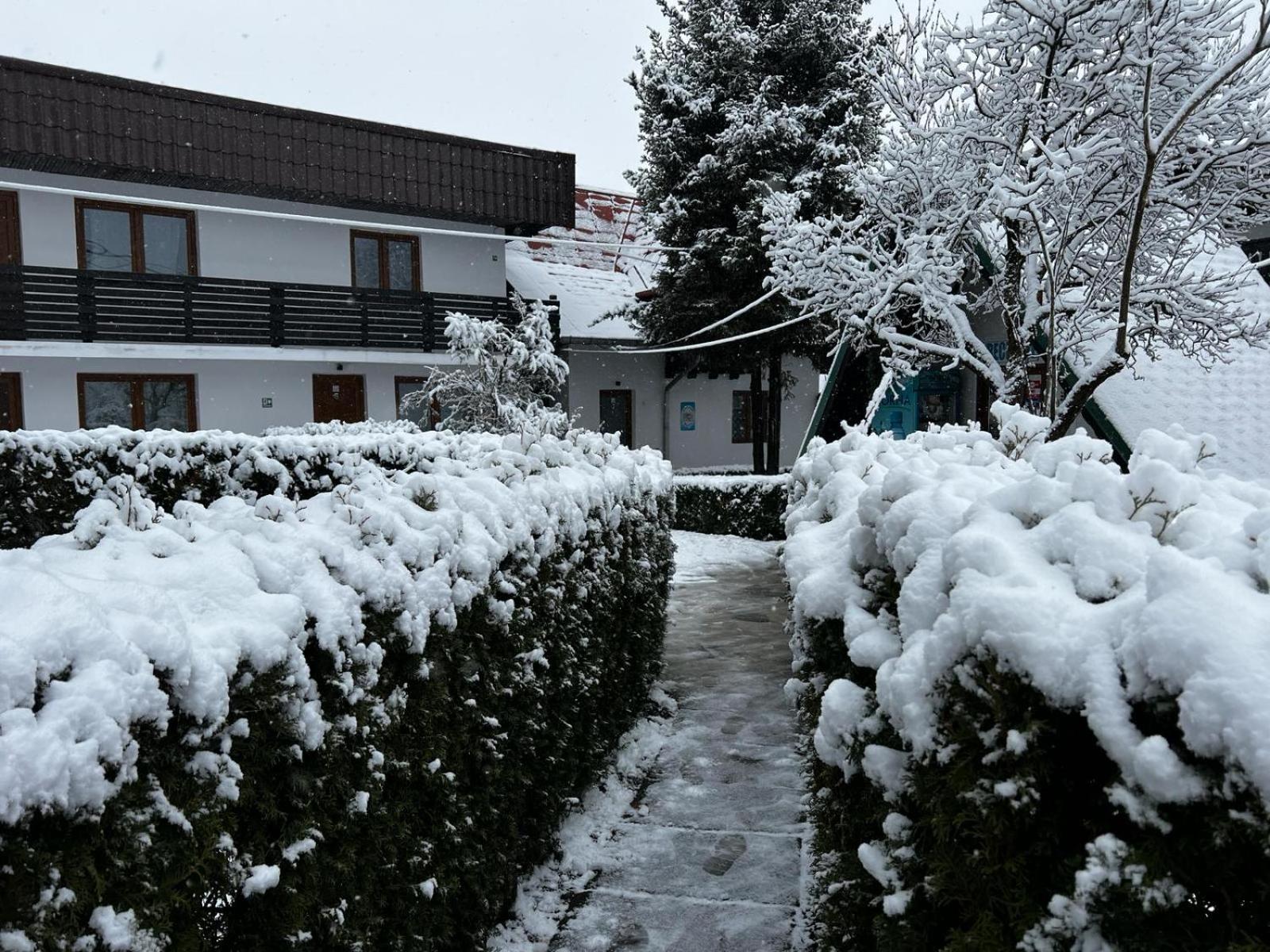 Photo 37