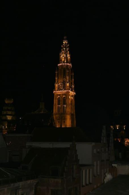 The View