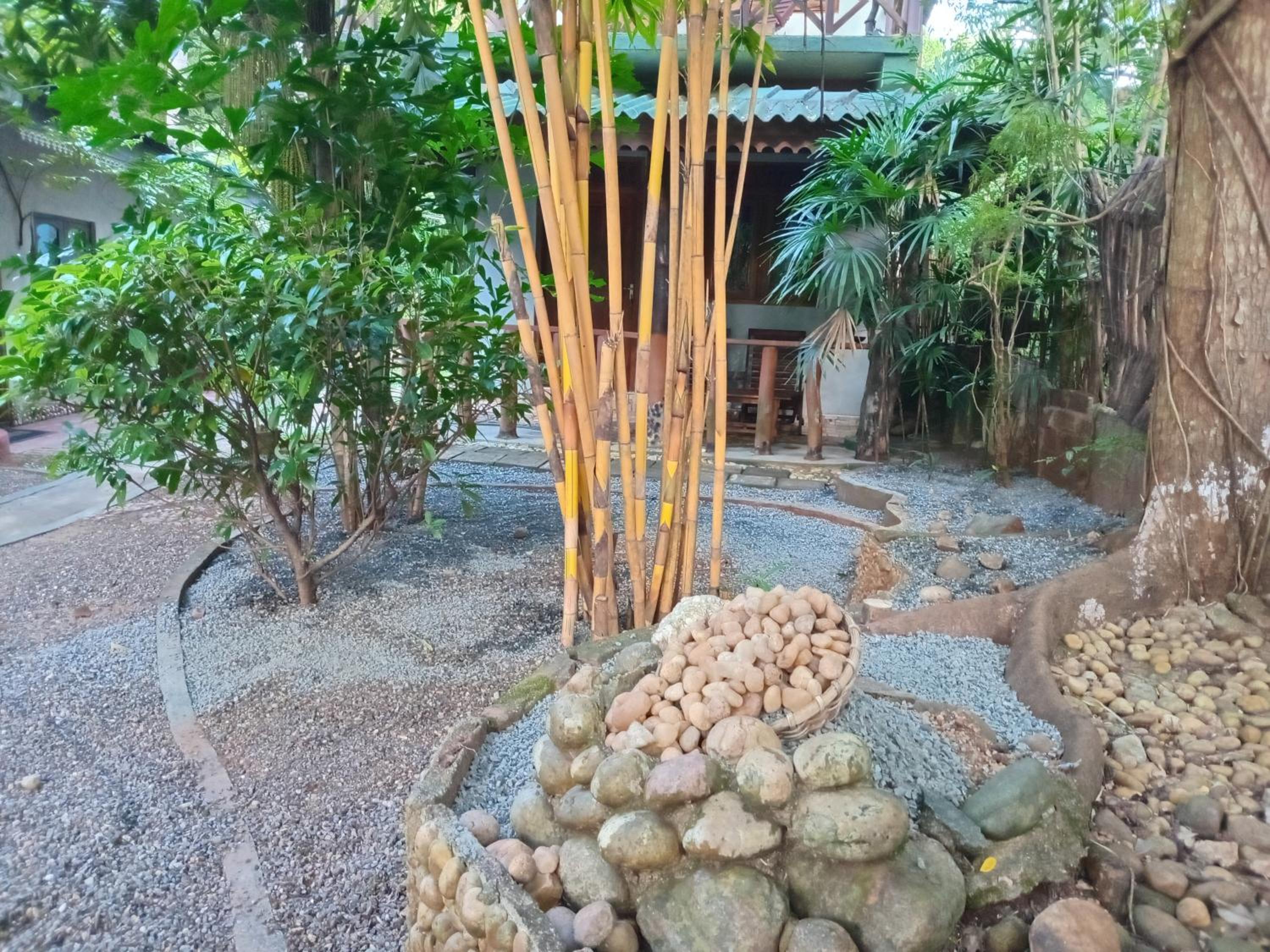 Photo 15