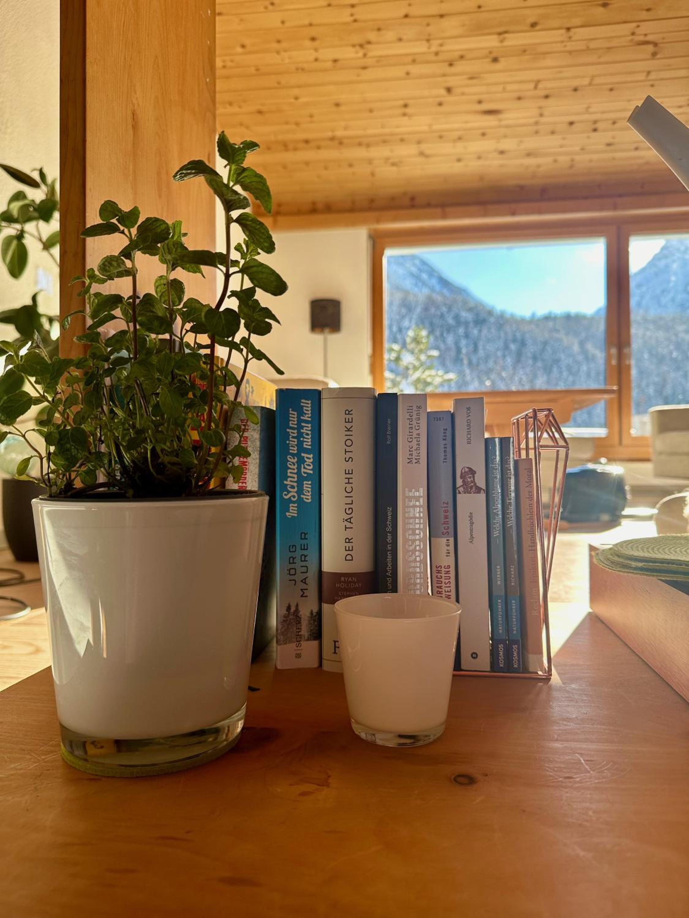 Ferienwohnungen Allegra mit rundum Bergblick