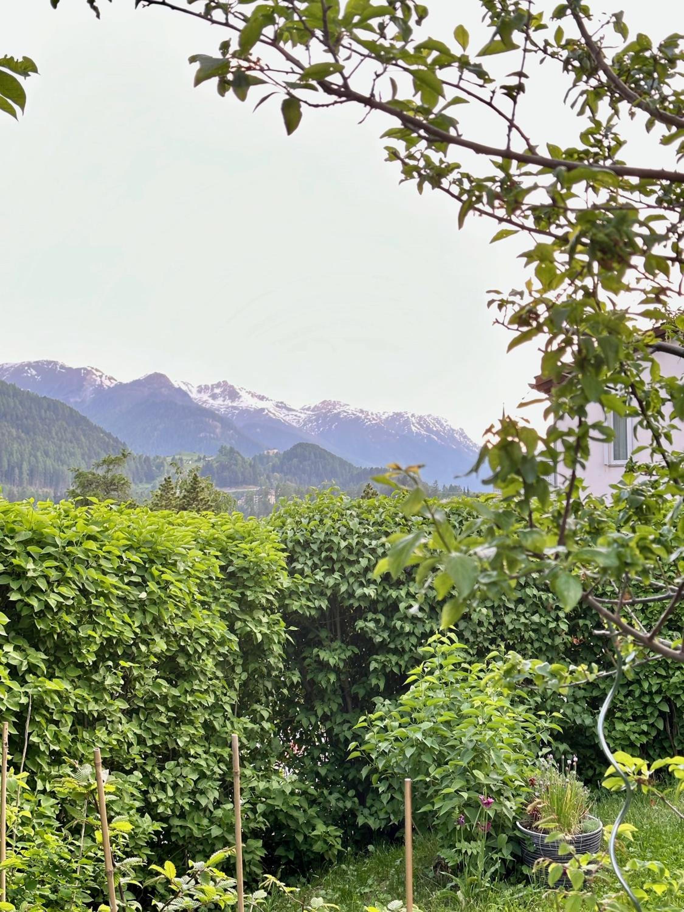 Ferienwohnungen Allegra mit rundum Bergblick