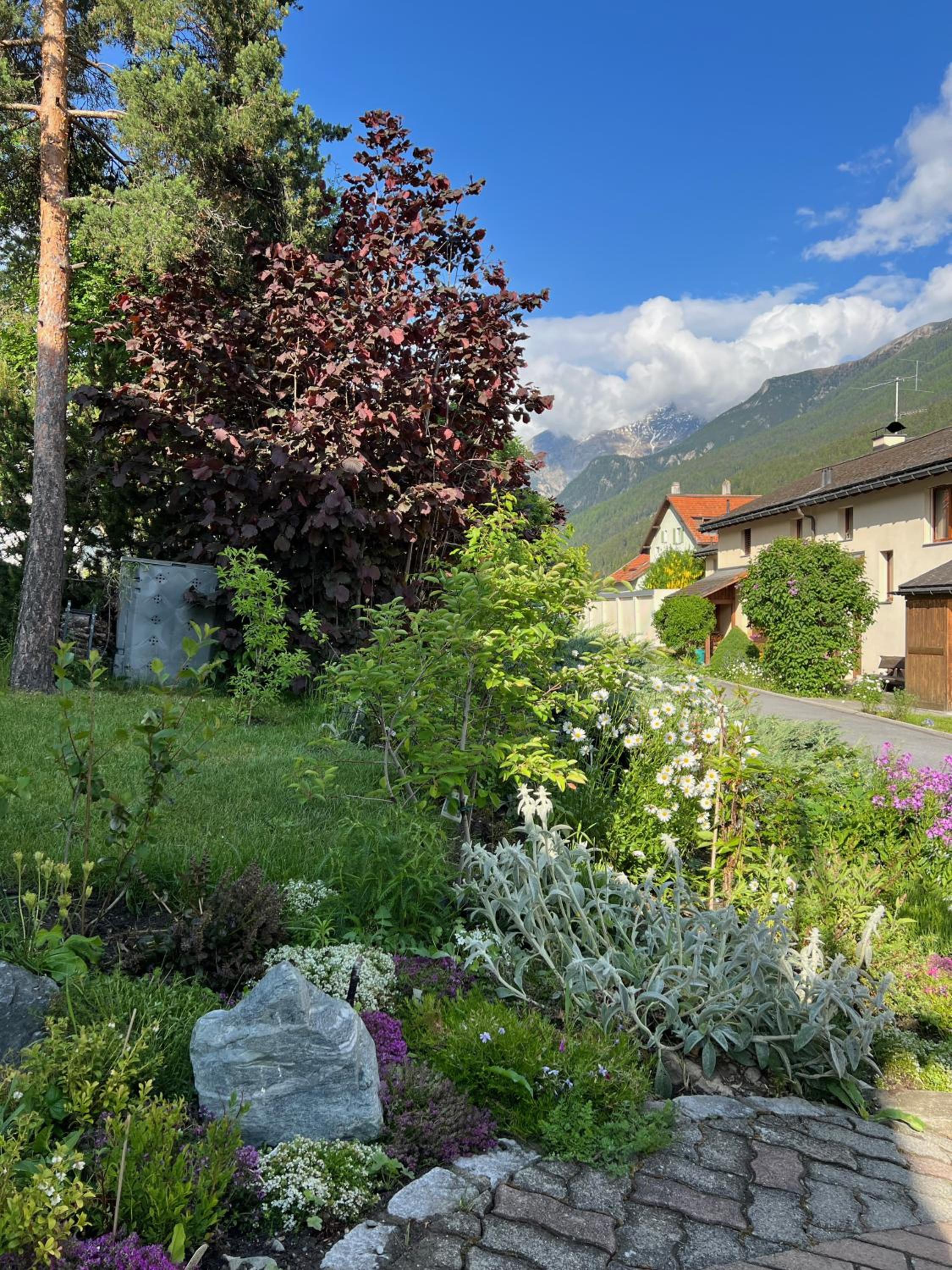 Ferienwohnungen Allegra mit rundum Bergblick