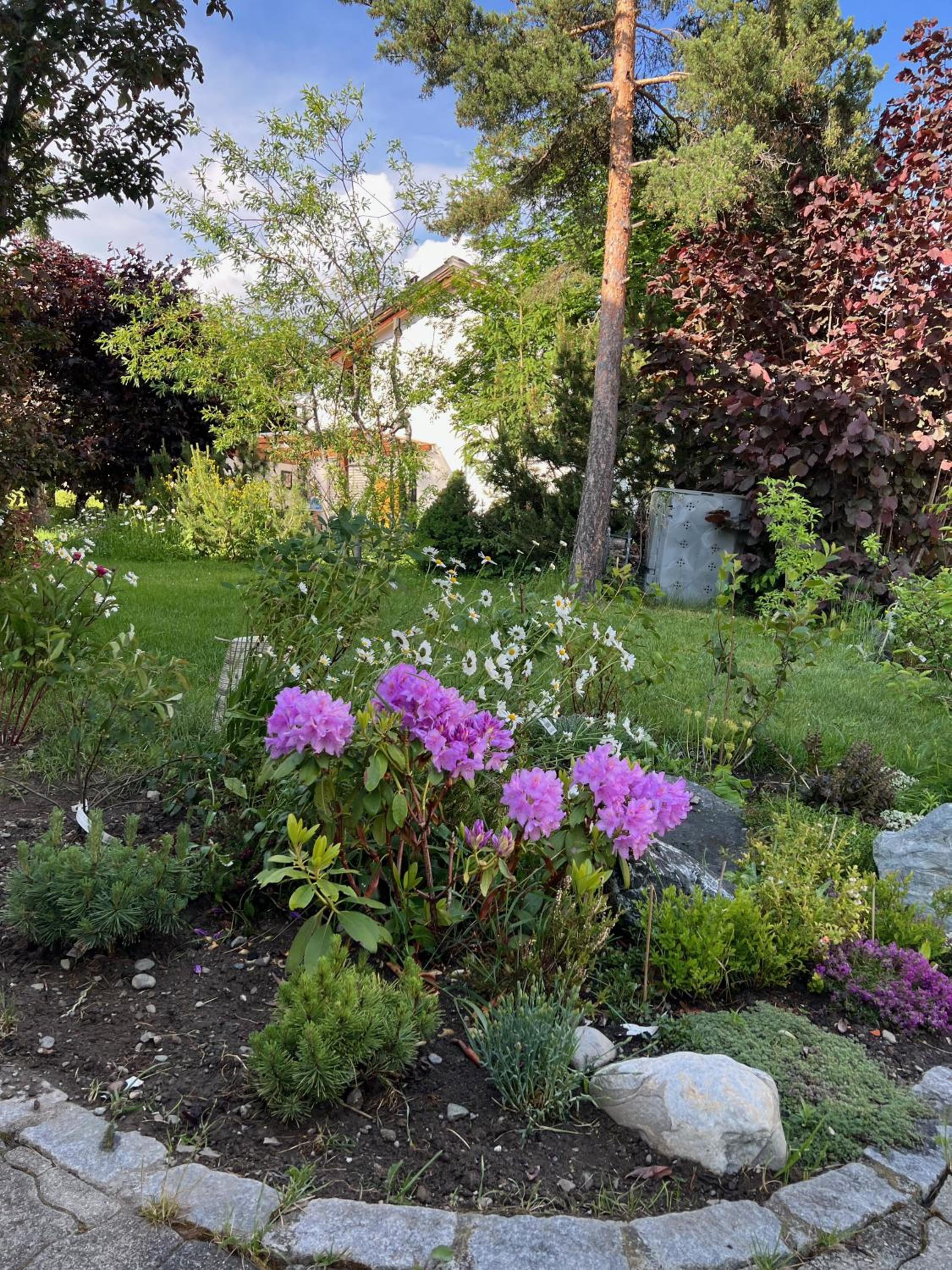 Ferienwohnungen Allegra mit rundum Bergblick