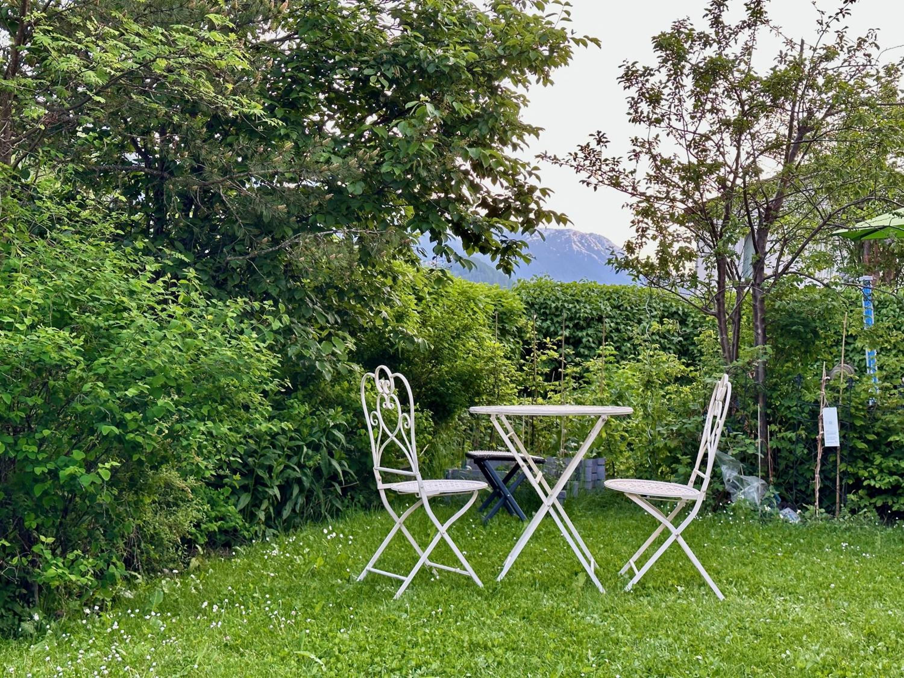 Ferienwohnungen Allegra mit rundum Bergblick