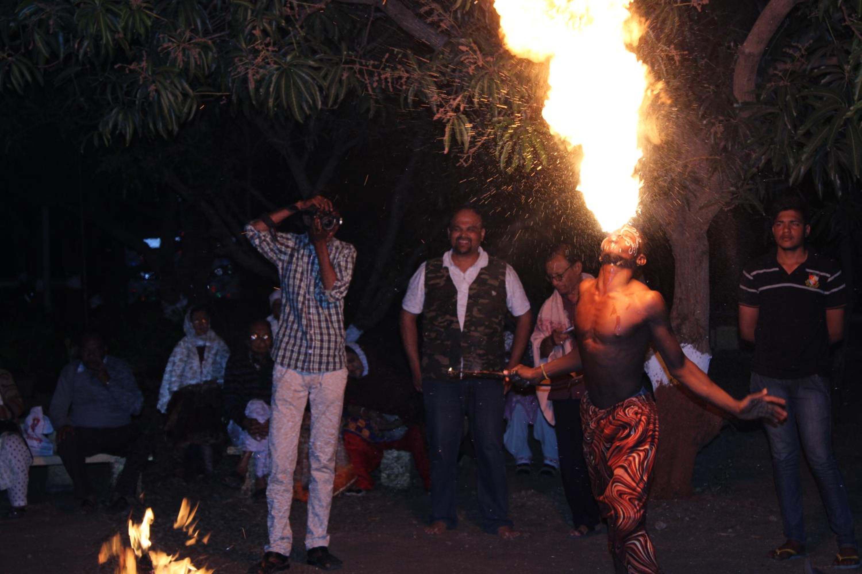 Gir Jungle Lodge