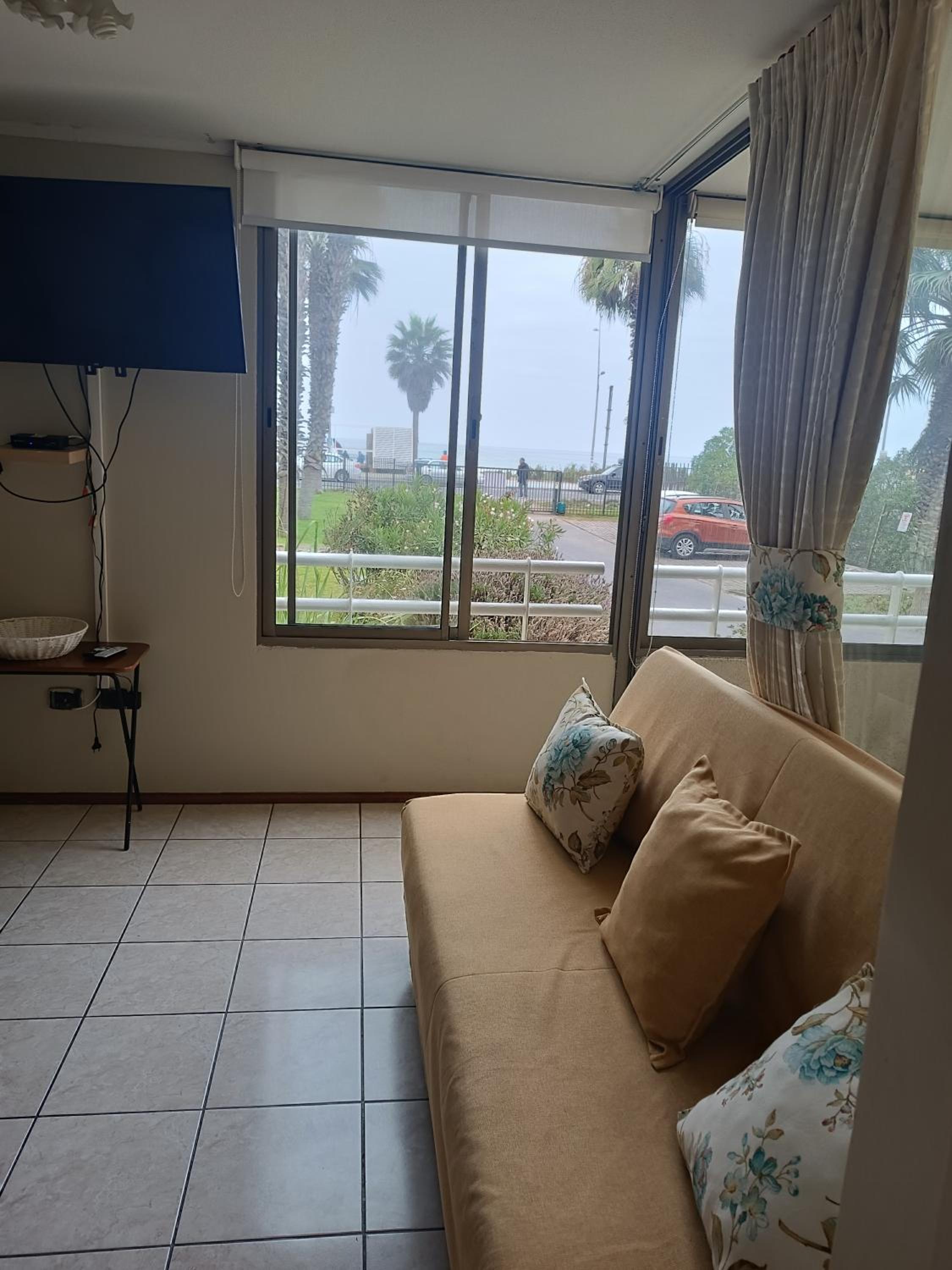 Palmar vista al mar