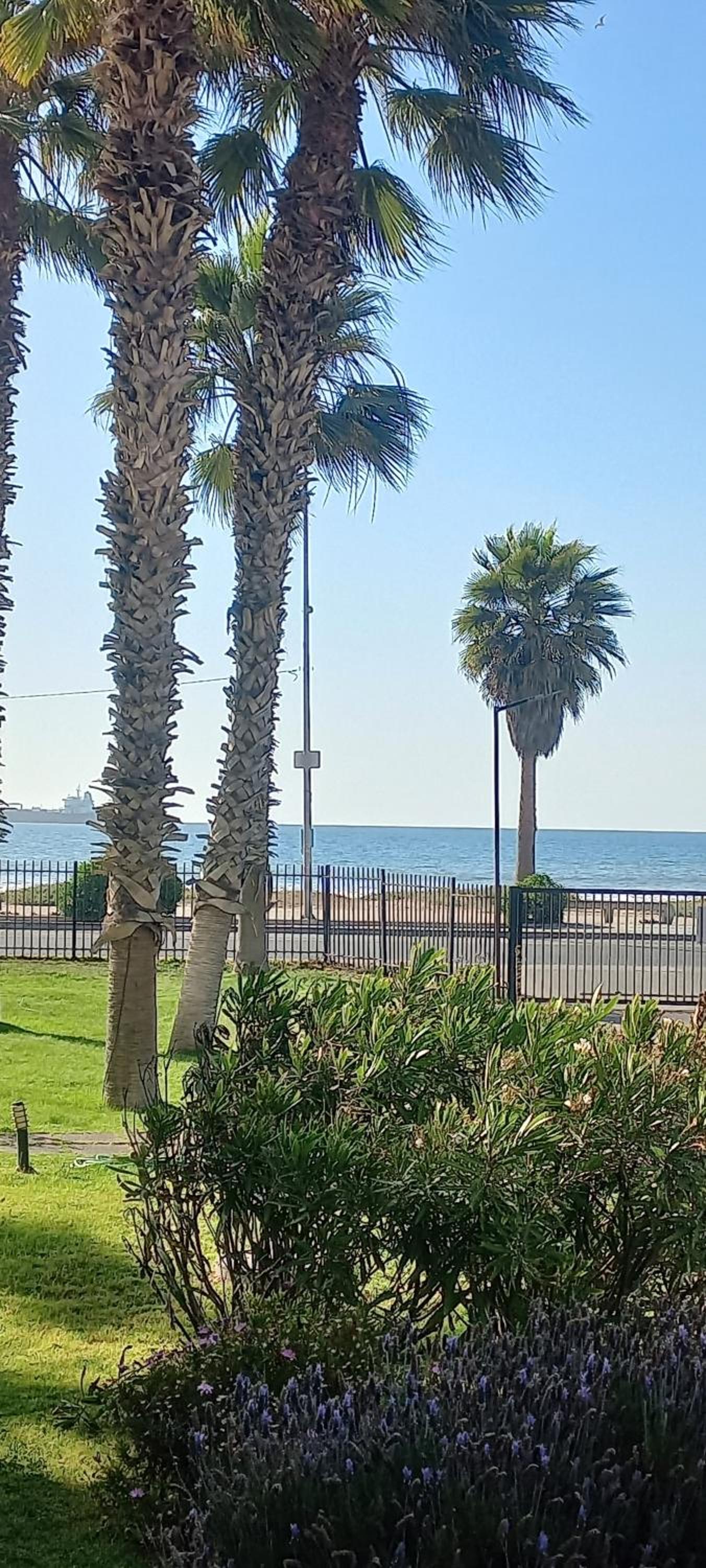 Palmar vista al mar