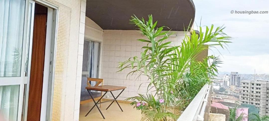 Luxueux studio Centre-ville Yaoundé