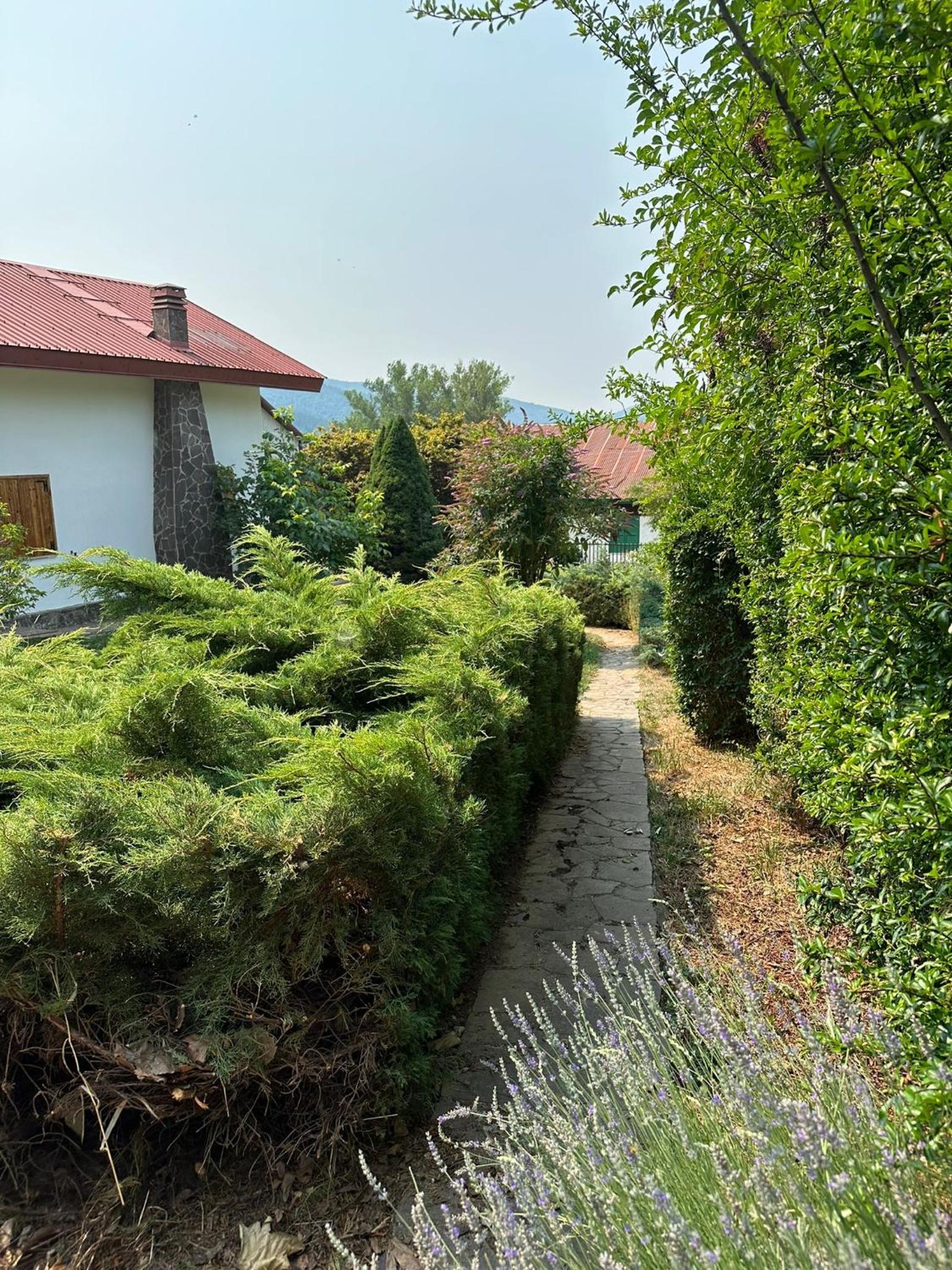 Photo 20