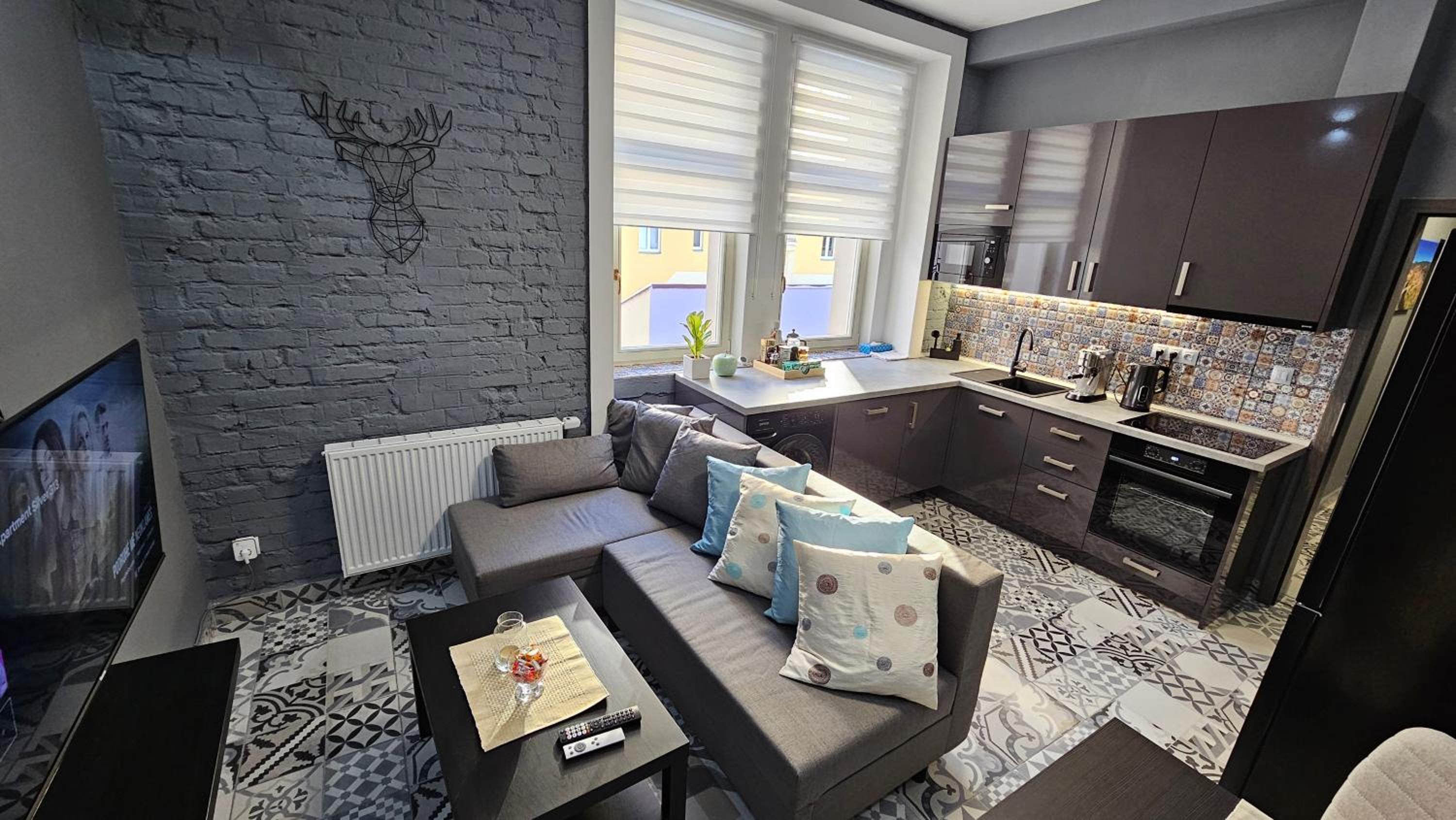 Apartment Silver 313