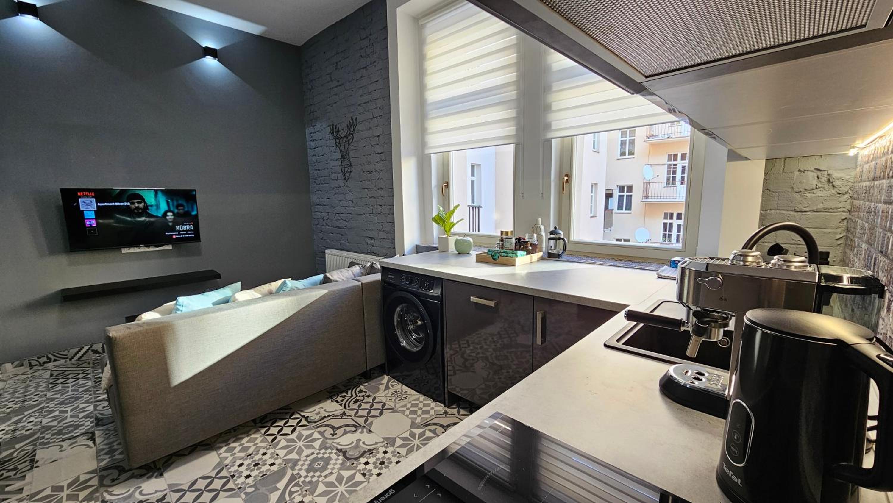 Apartment Silver 313