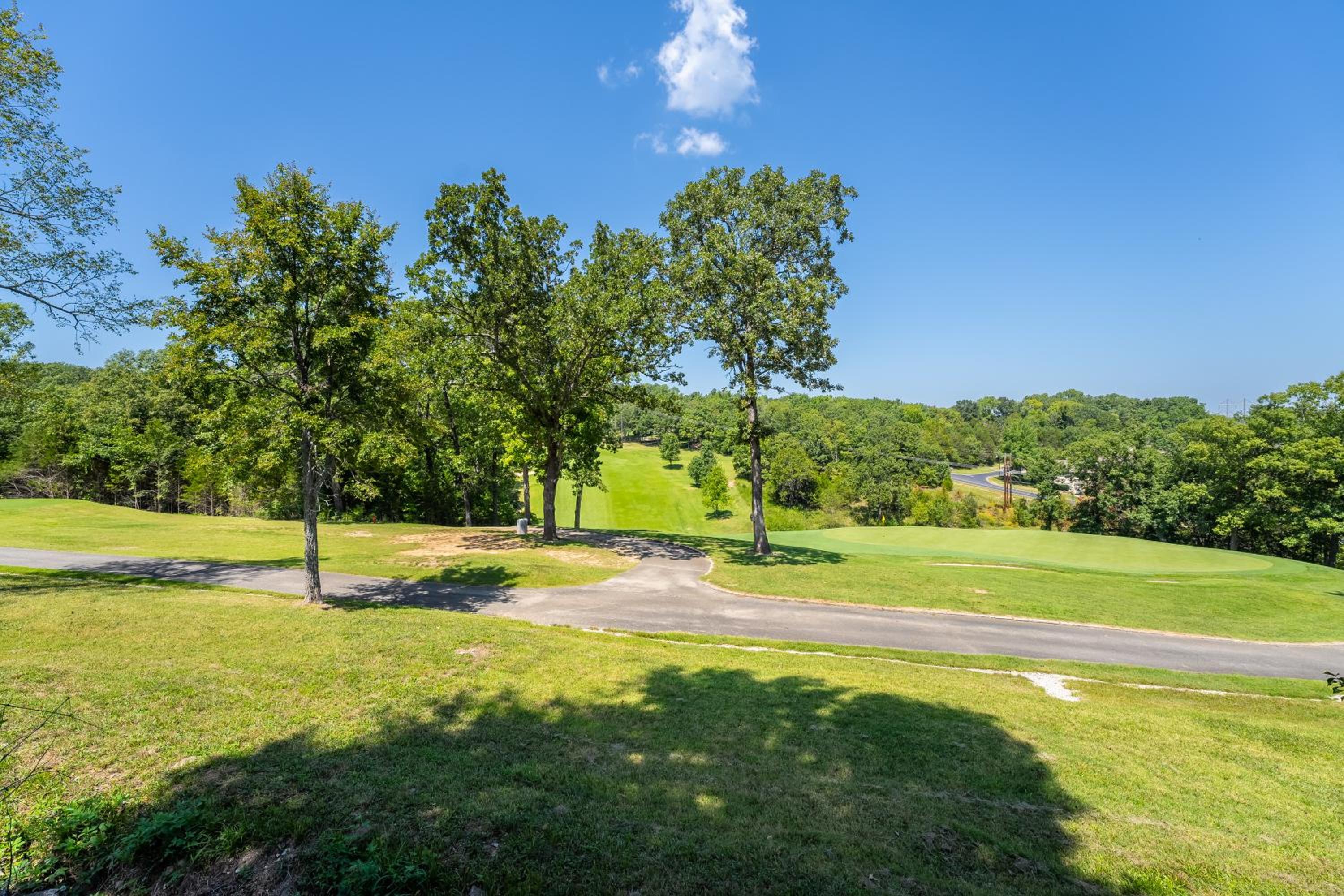1031 Branson luxury retreat-Golf view-SilverDollar - Property Image 14