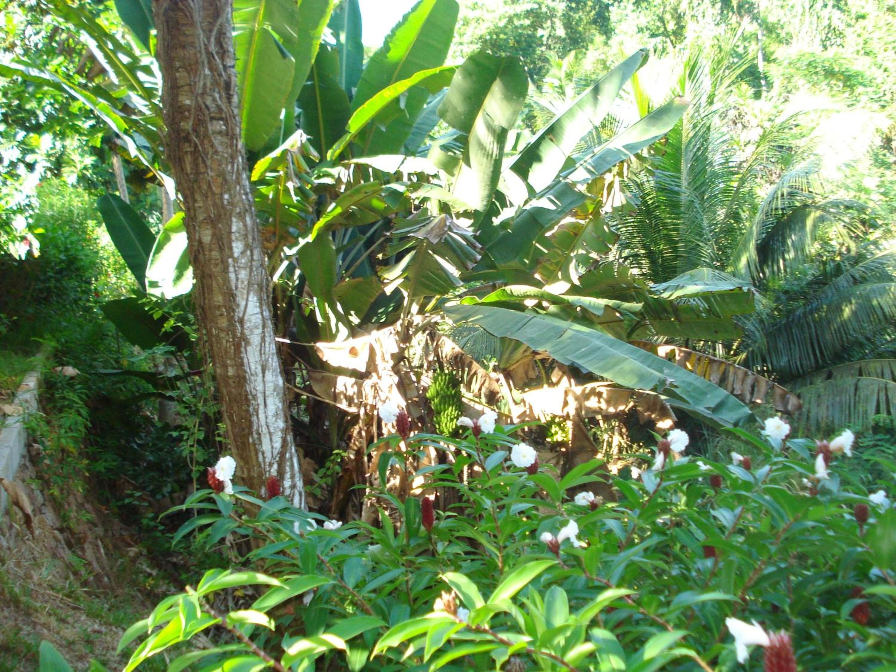 Photo 72