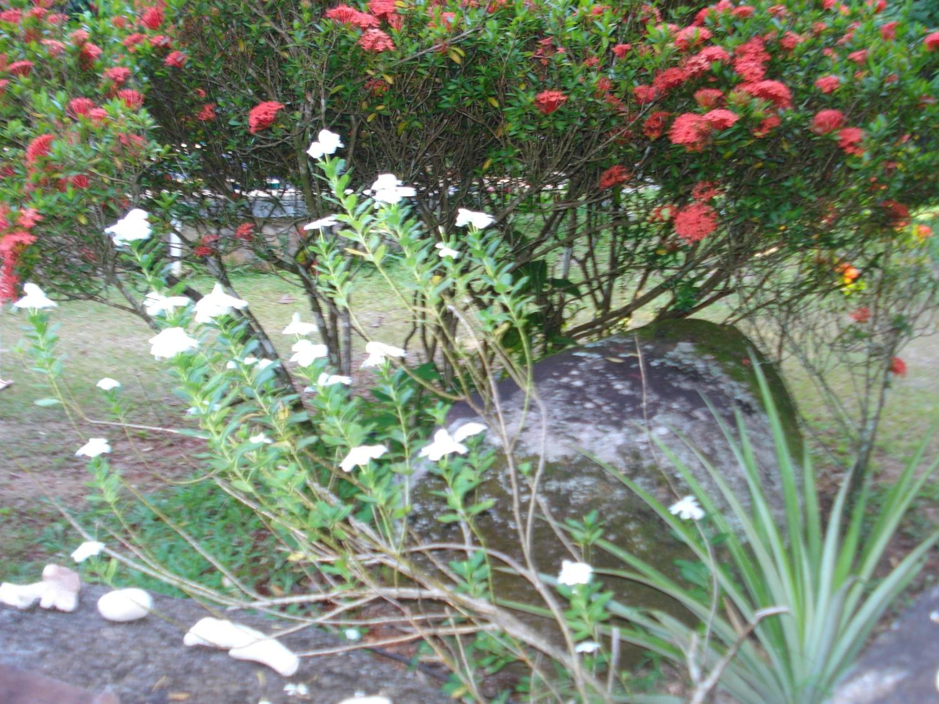Photo 76