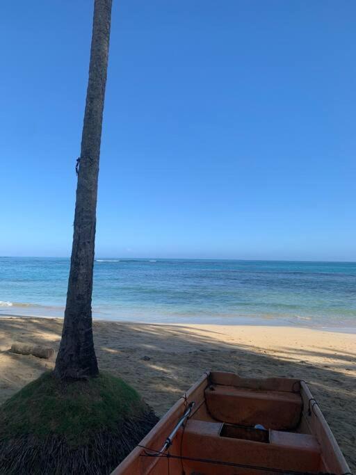 Exclusiva villa ecológica en las terrenas