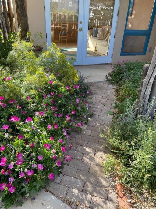 Taos Mountain Views- Cozy Home-Special Rates view 3