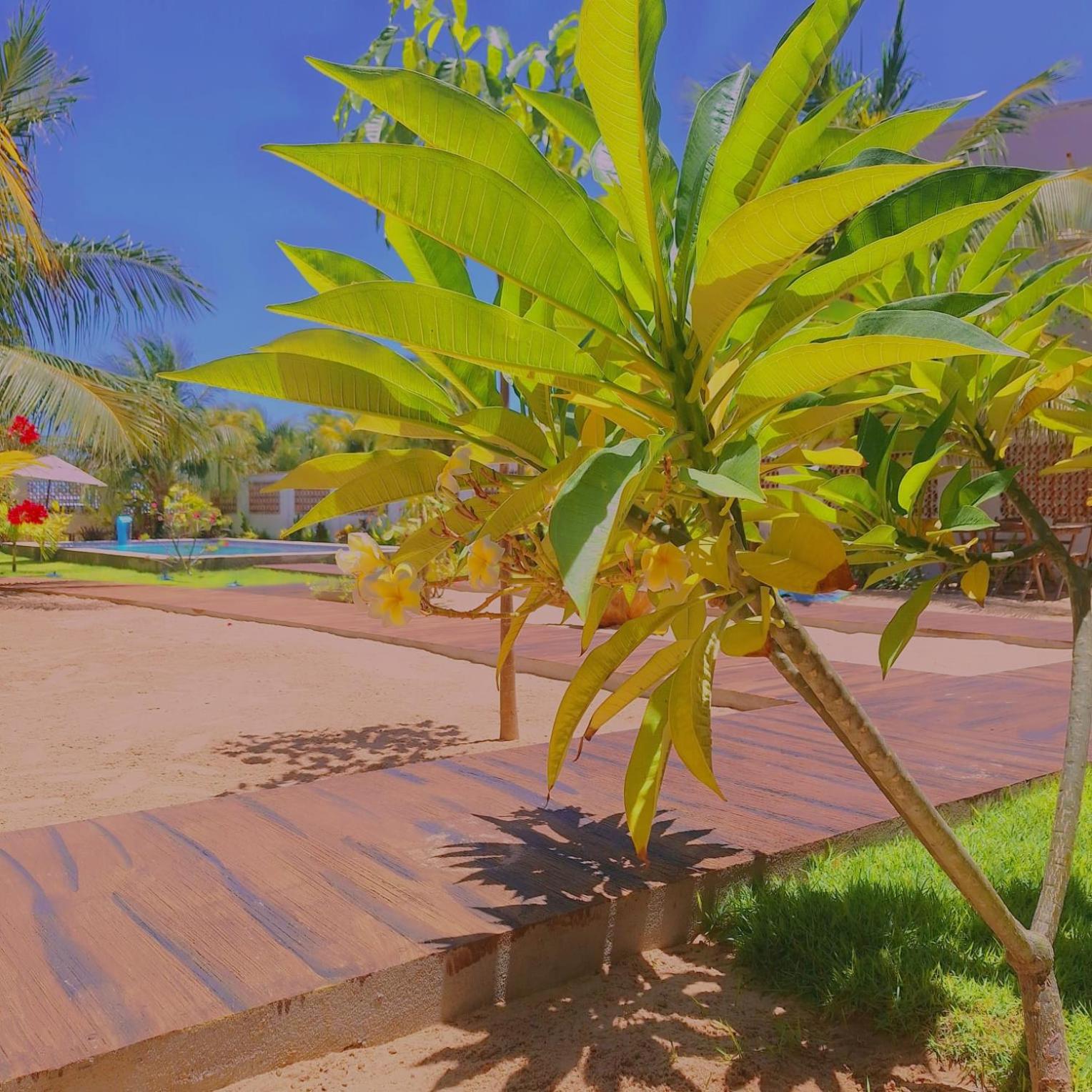 Condomínio Shalom Beach