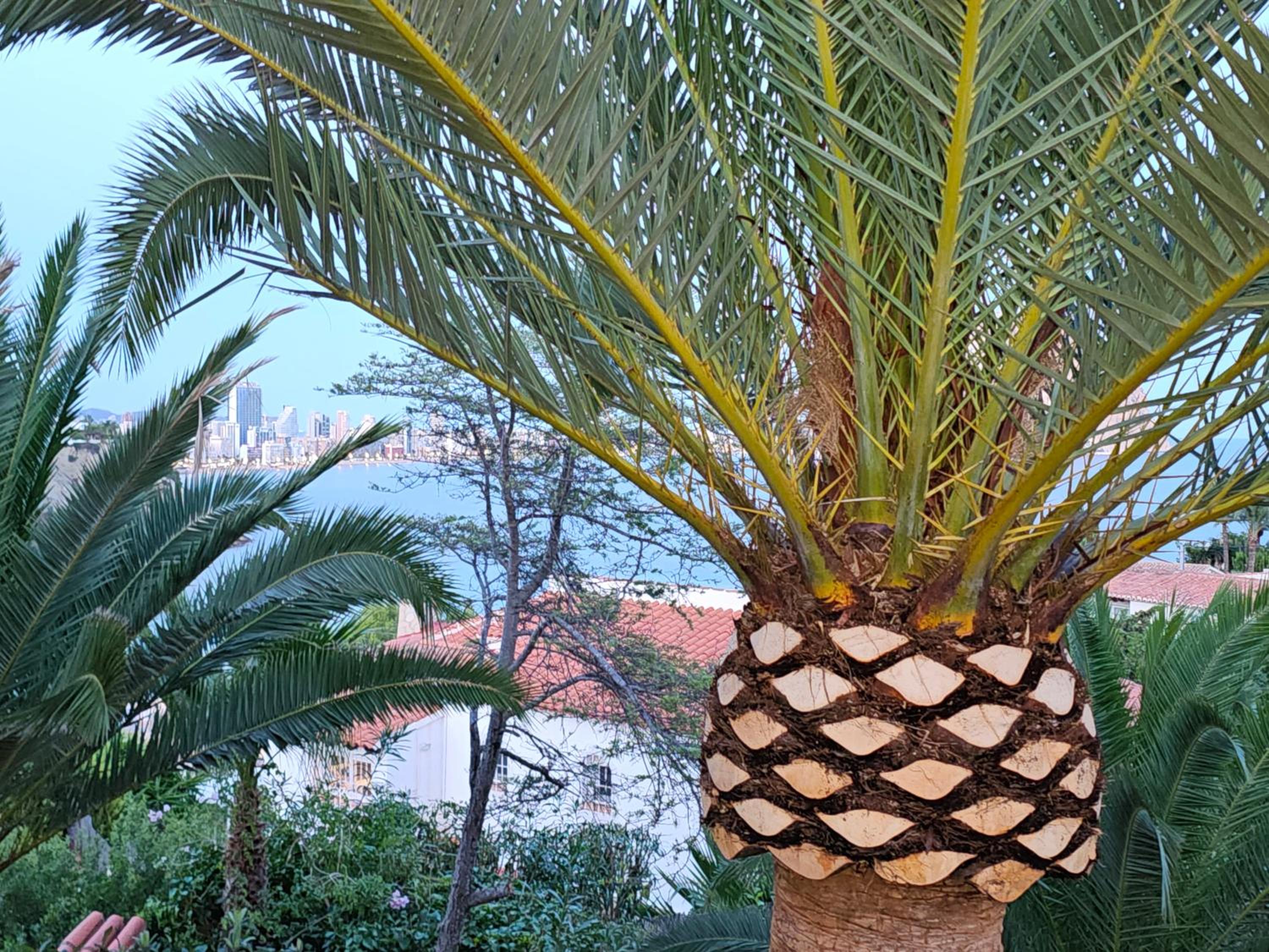 Casa Veintiuno en Calp