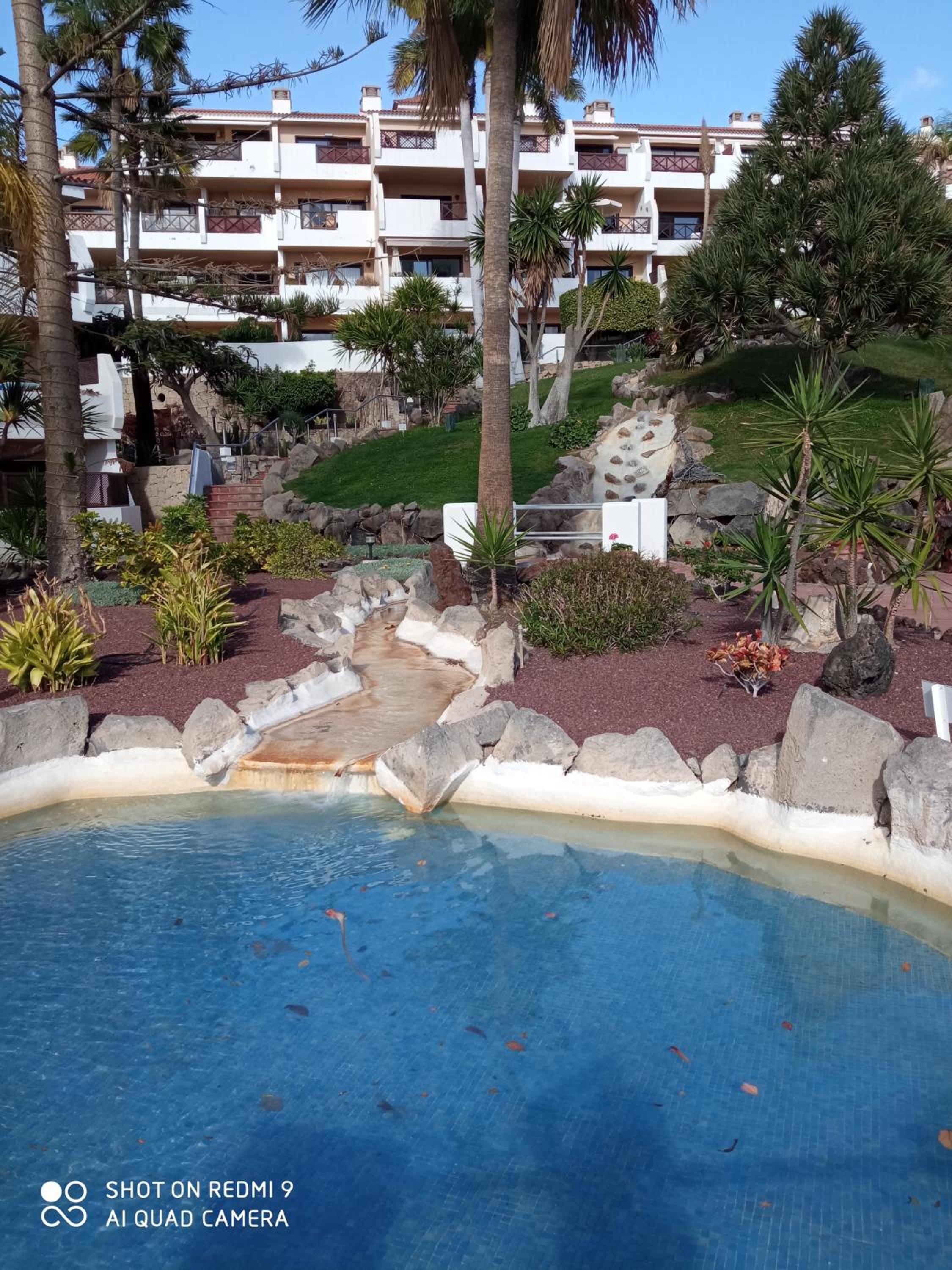 Las Meninas Tenerife