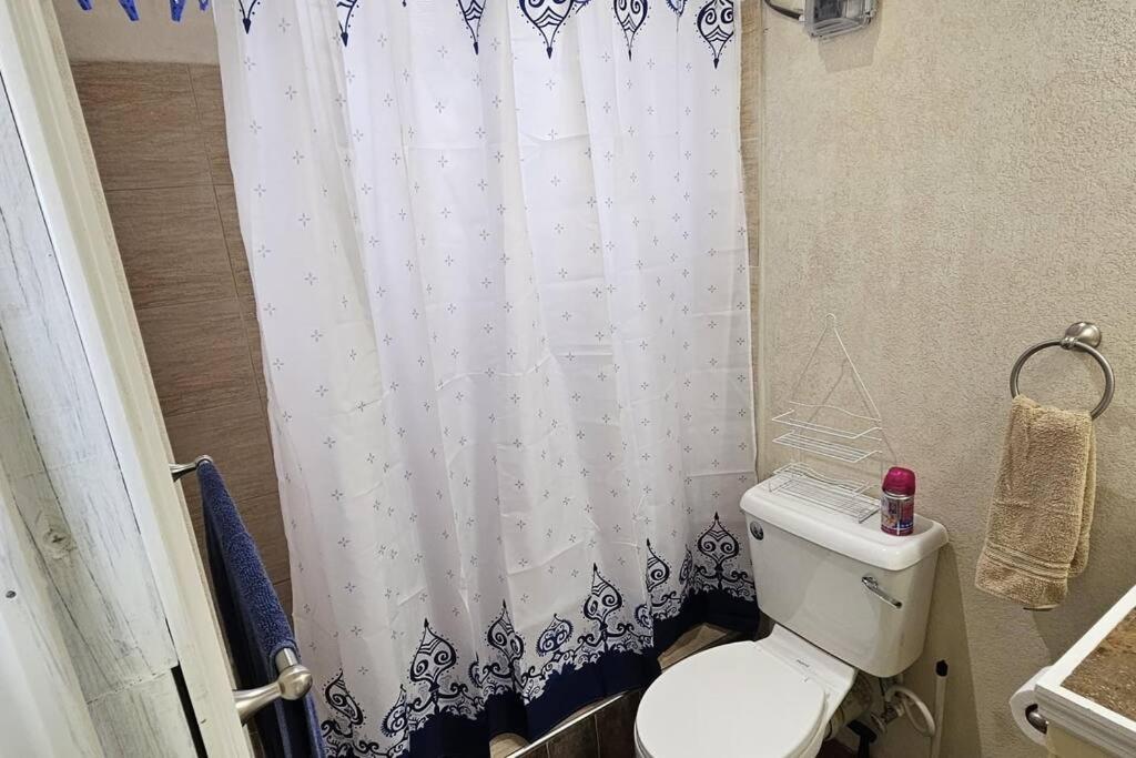 Seclusion Studio Apartment.