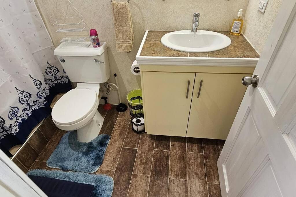 Seclusion Studio Apartment.
