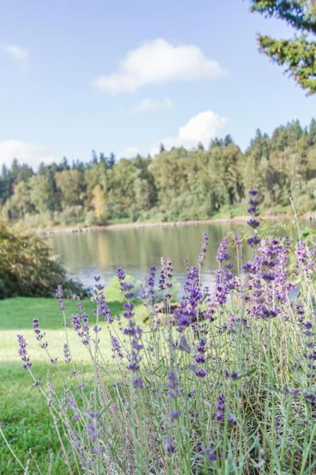 Milwaukie Riverfront Guest House view 5