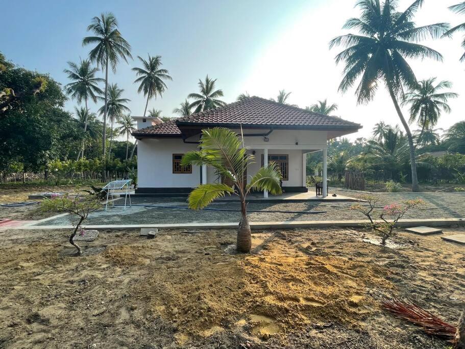 Nature Paradise